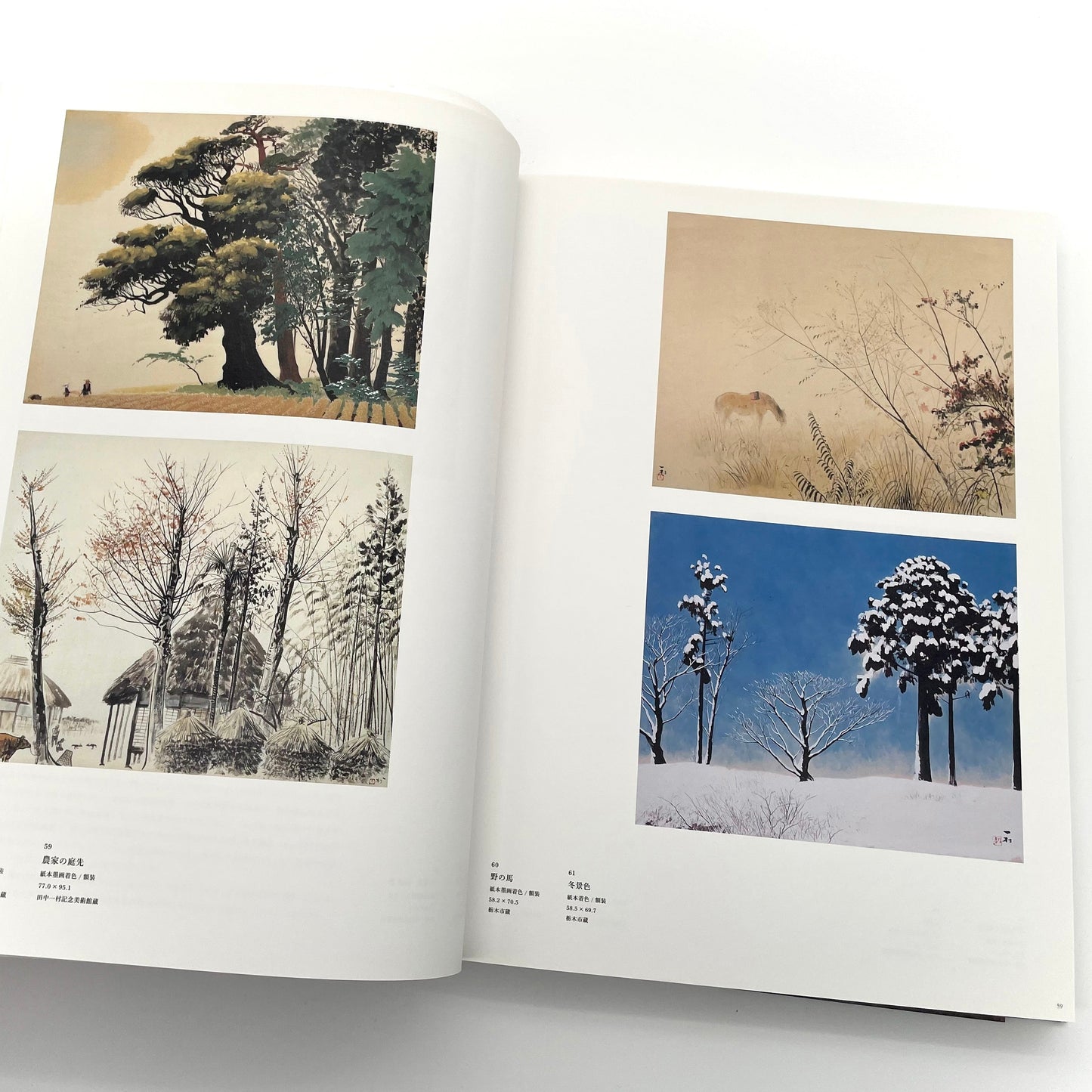 田中一村　新たなる全貌
Isson Tanaka: A New Complete Look