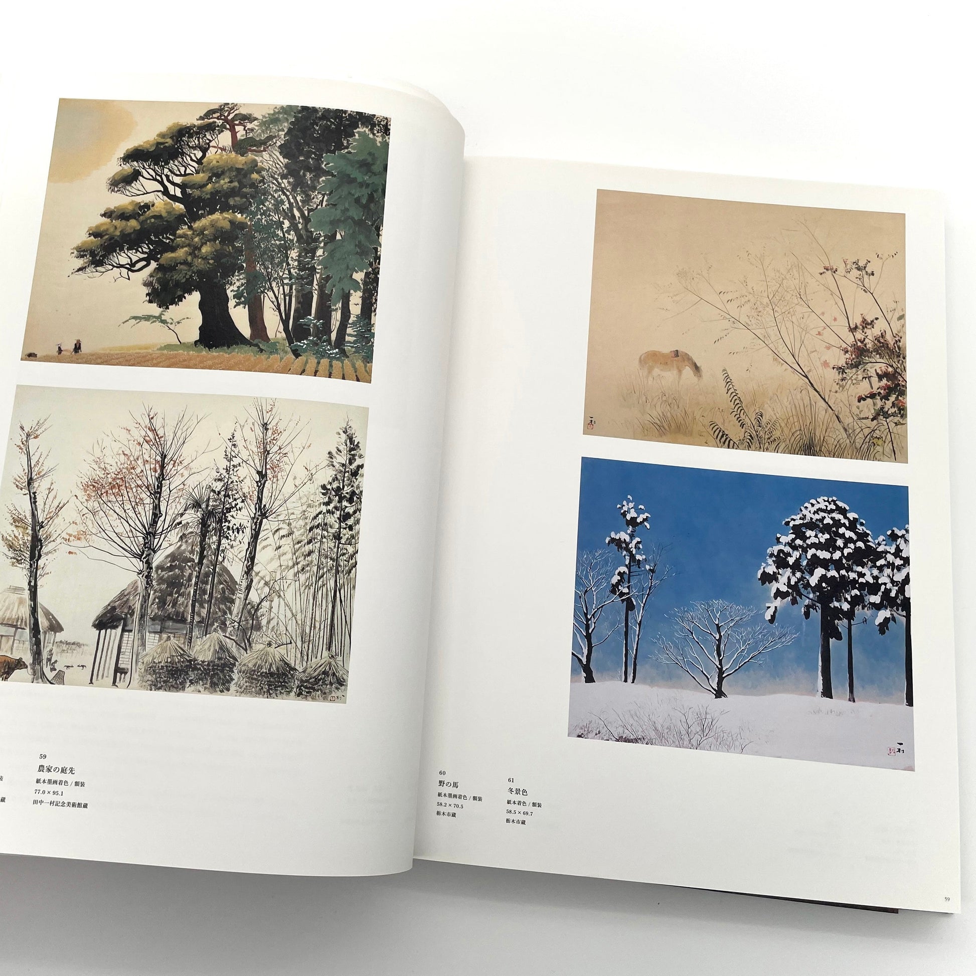 田中一村　新たなる全貌
Isson Tanaka: A New Complete Look