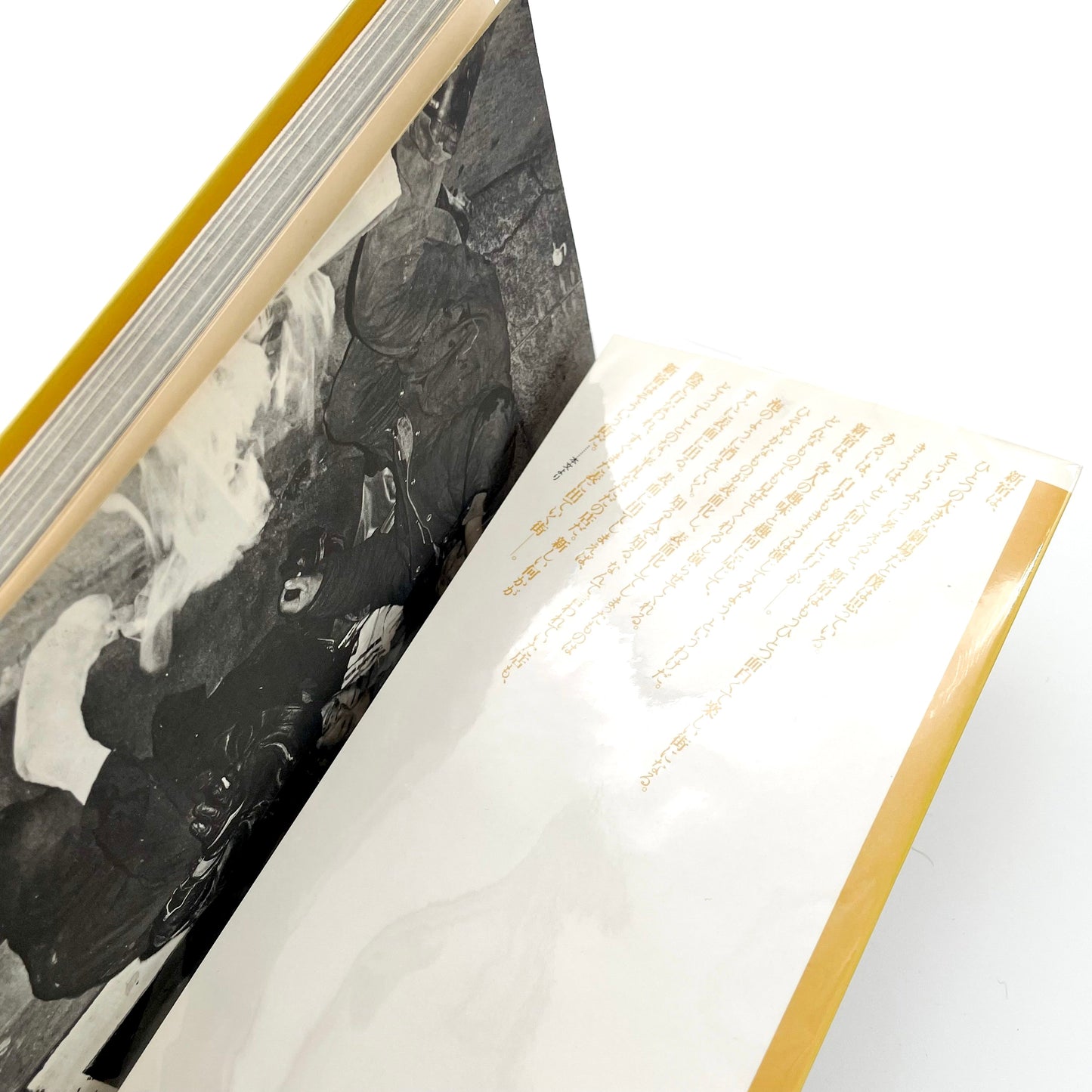 渡辺克巳　新宿群盗伝伝 晩聲社