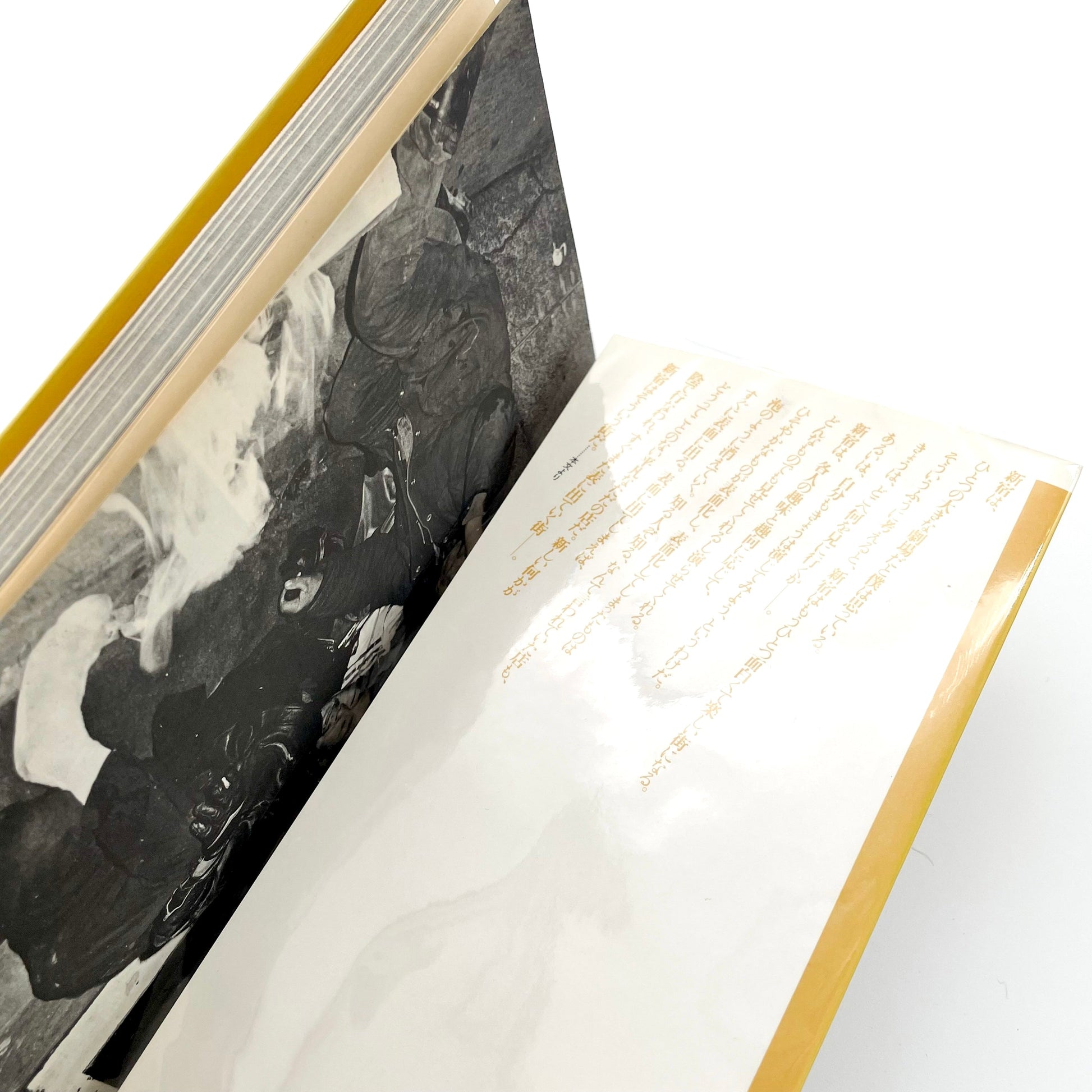 渡辺克巳　新宿群盗伝伝 晩聲社