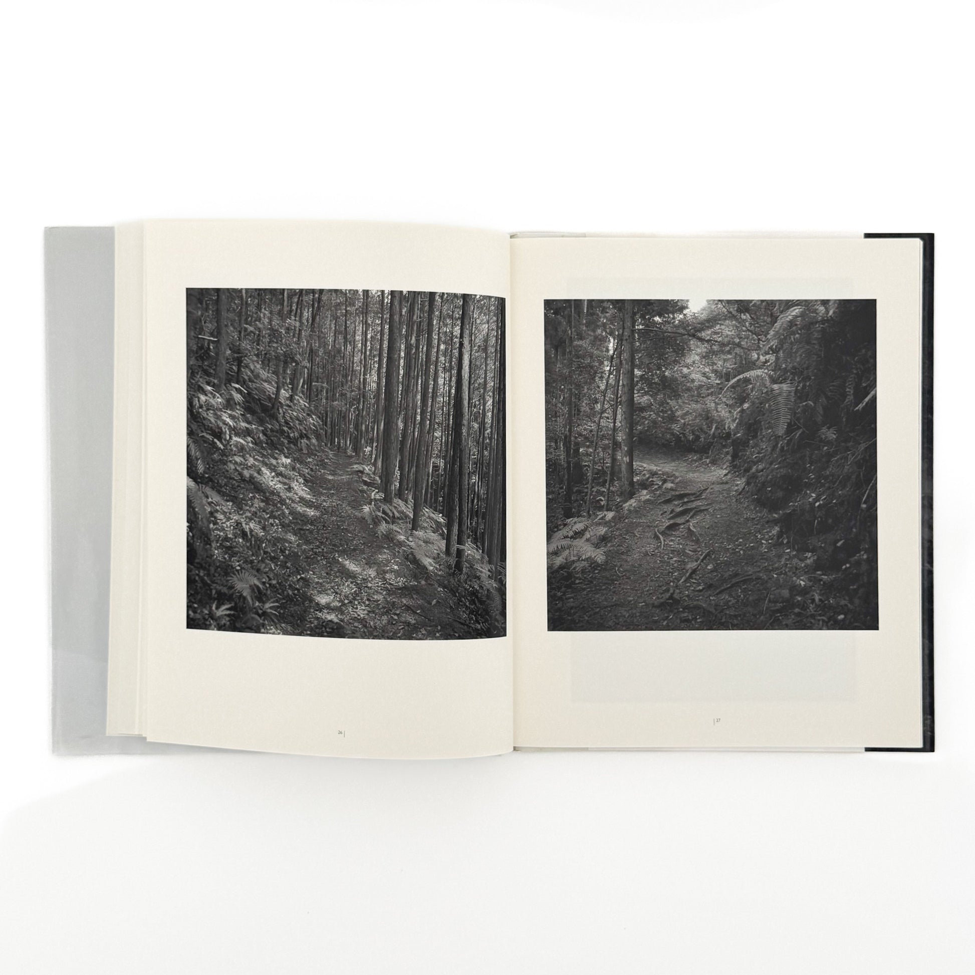 （独英文）畠山直哉 、バルタザール・ブルクハルト写真展図録　二つの山 Executive Committee of Two Mountains