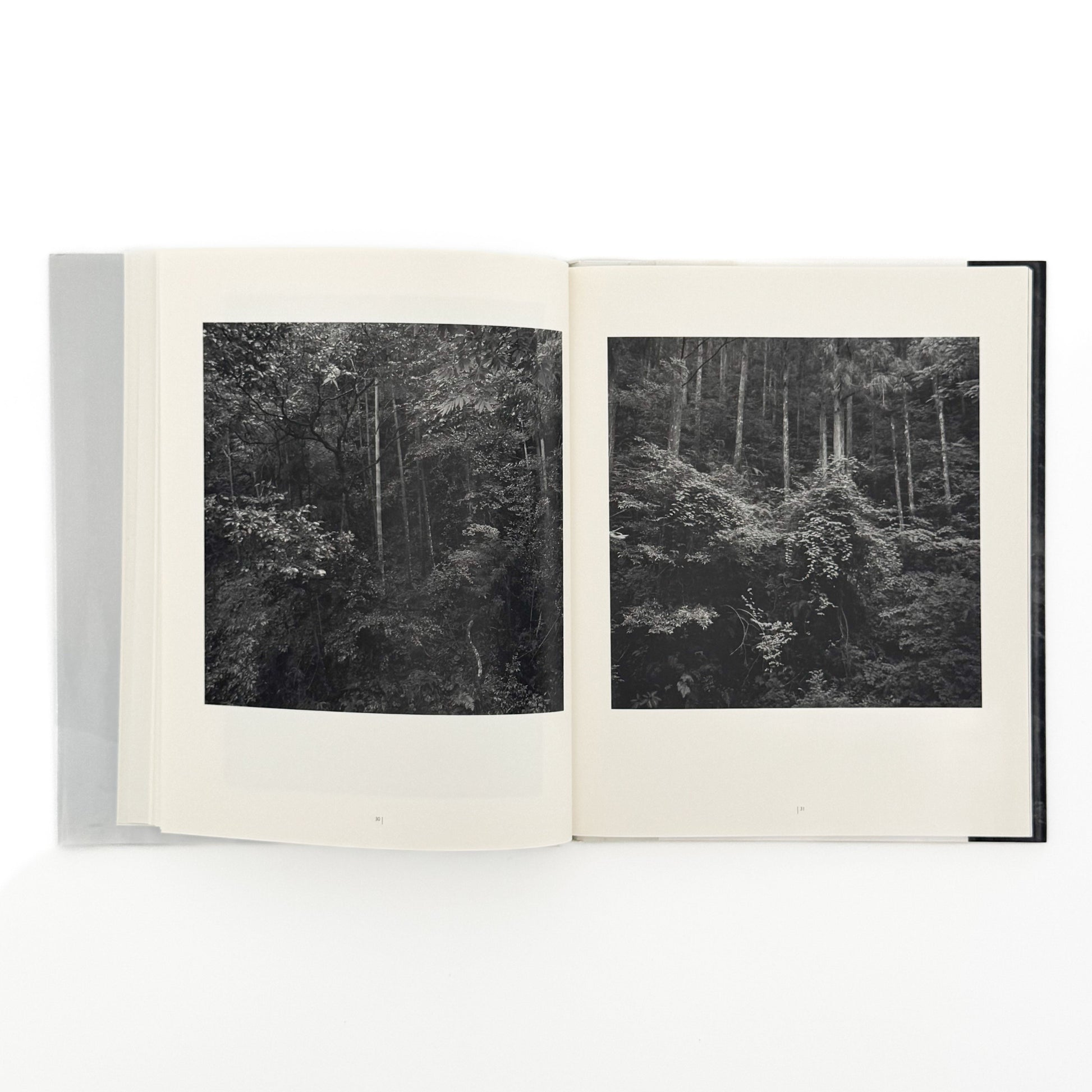 （独英文）畠山直哉 、バルタザール・ブルクハルト写真展図録　二つの山 Executive Committee of Two Mountains