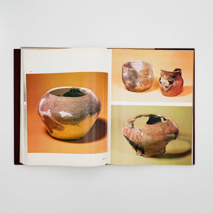 （英文）アムール地域の古代美術──岩絵・彫刻・土器 Aurora Art Publishers