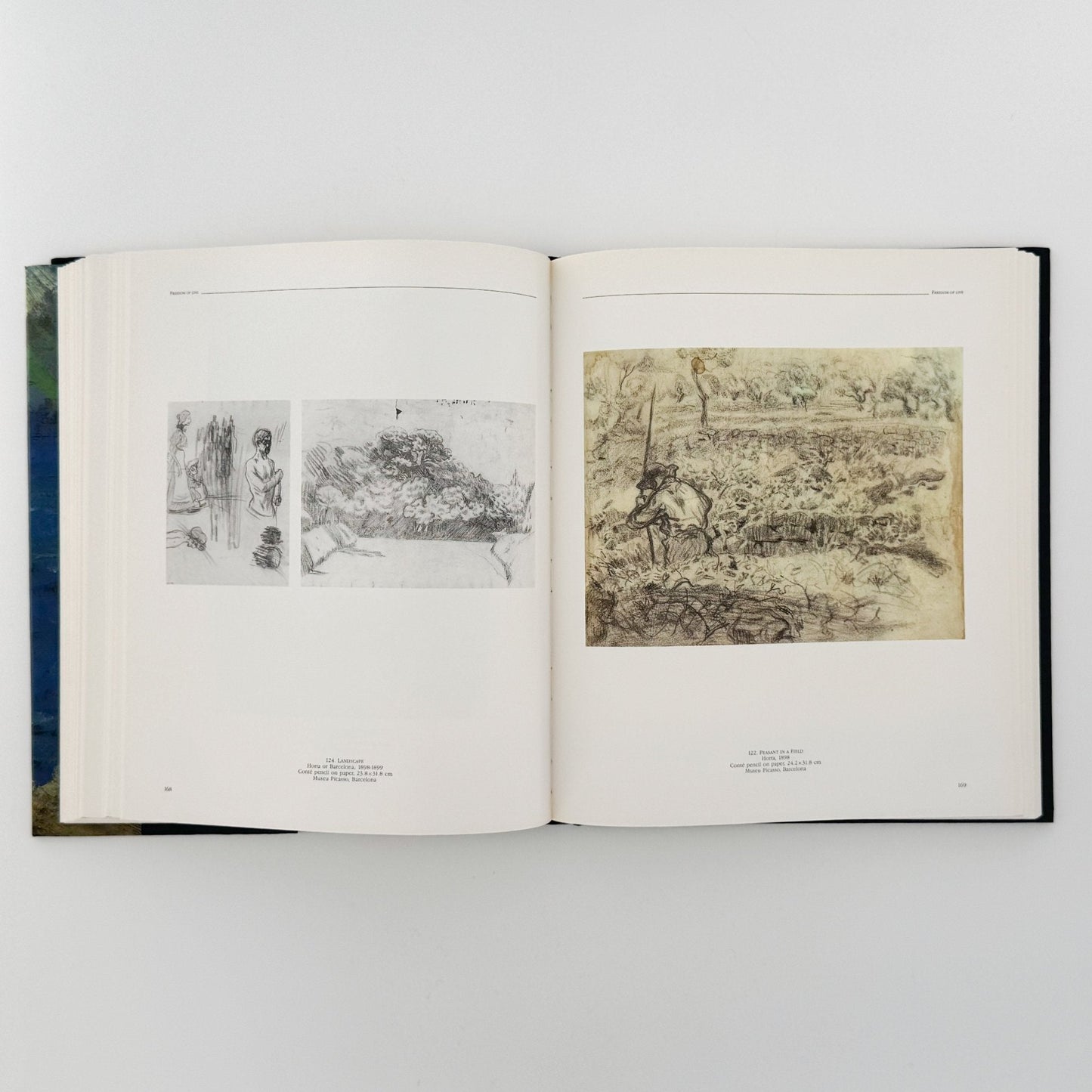 (英文)ピカソの風景画: PICASSO Landscapes 1890 - 1912 - Bulfinch Press - 文福