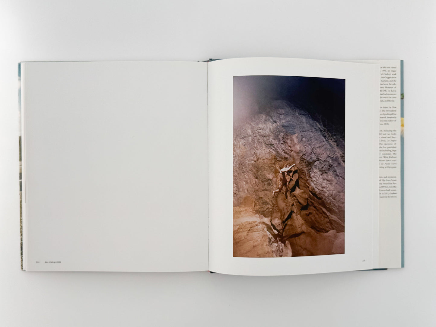 (英文)RYAN MCGINLEY (ライアン・マッギンレー)　Whistle for the Wind Rizzoli