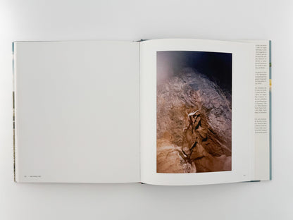 (英文)RYAN MCGINLEY (ライアン・マッギンレー)　Whistle for the Wind Rizzoli