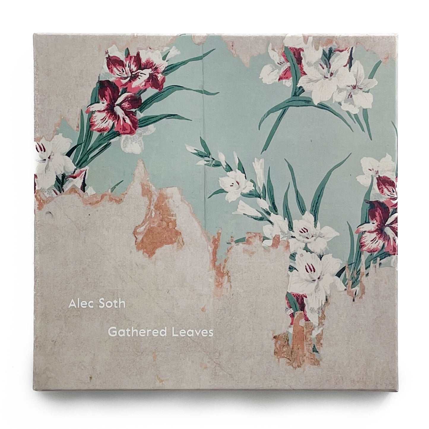 (英文) Alec Soth　Gathered Leaves（サイン入り） - MACK - 文福