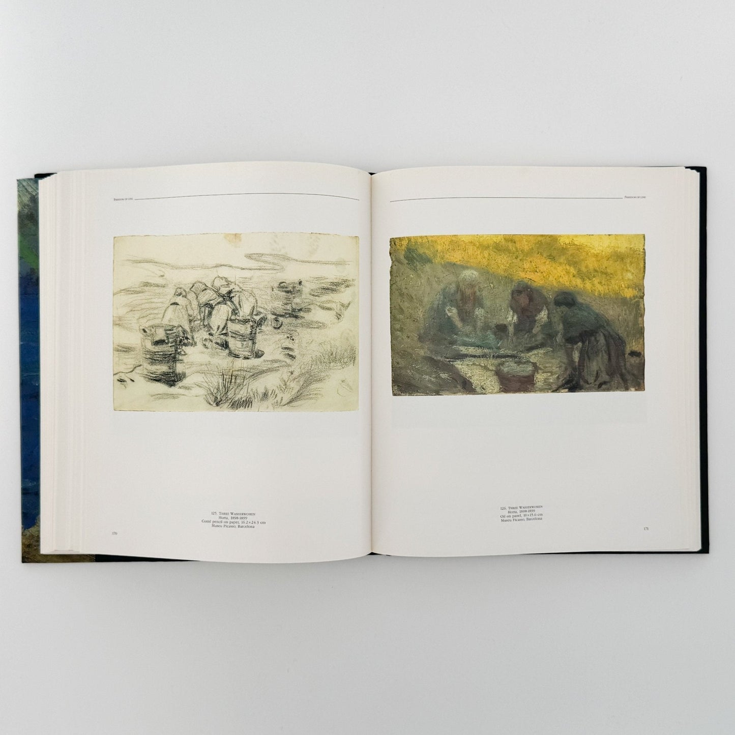 (英文)ピカソの風景画: PICASSO Landscapes 1890 - 1912 - Bulfinch Press - 文福