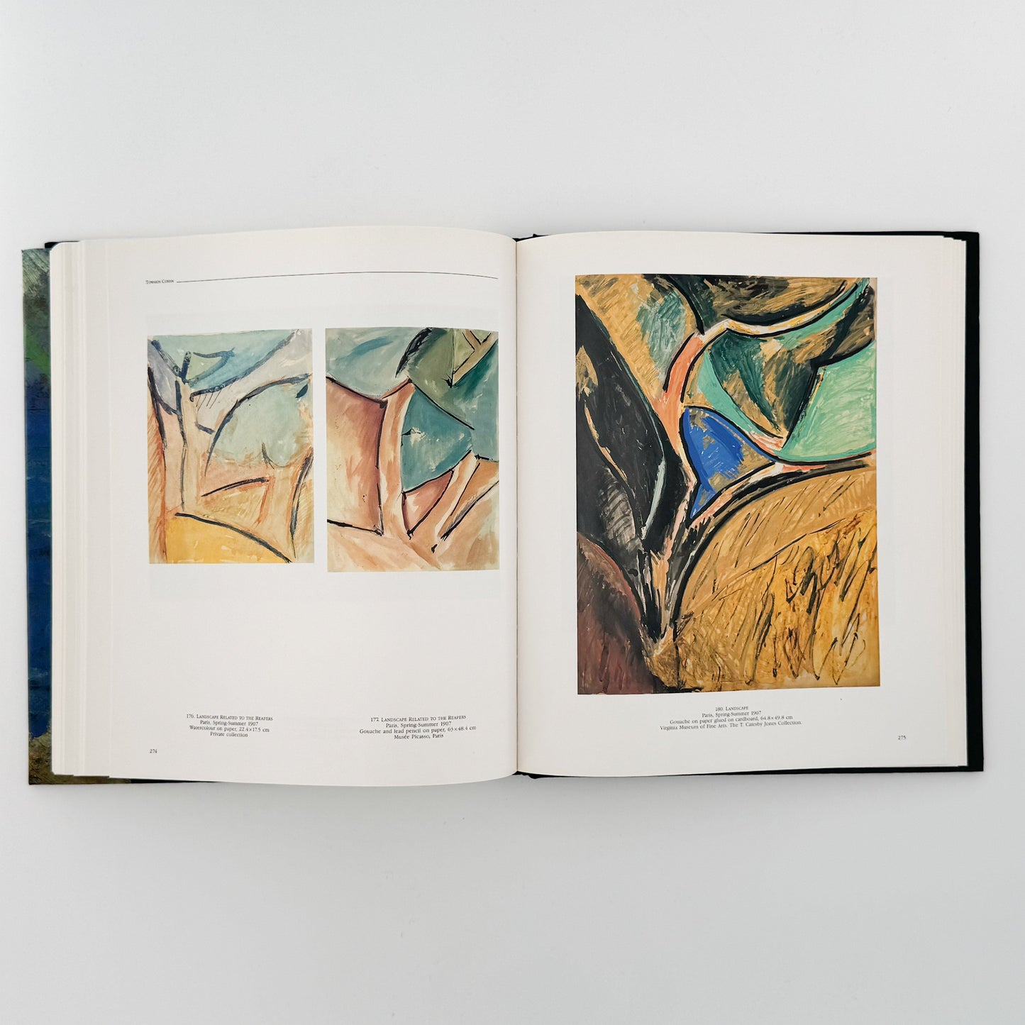 ピカソの風景画: PICASSO Landscapes 1890-1912 - 画集