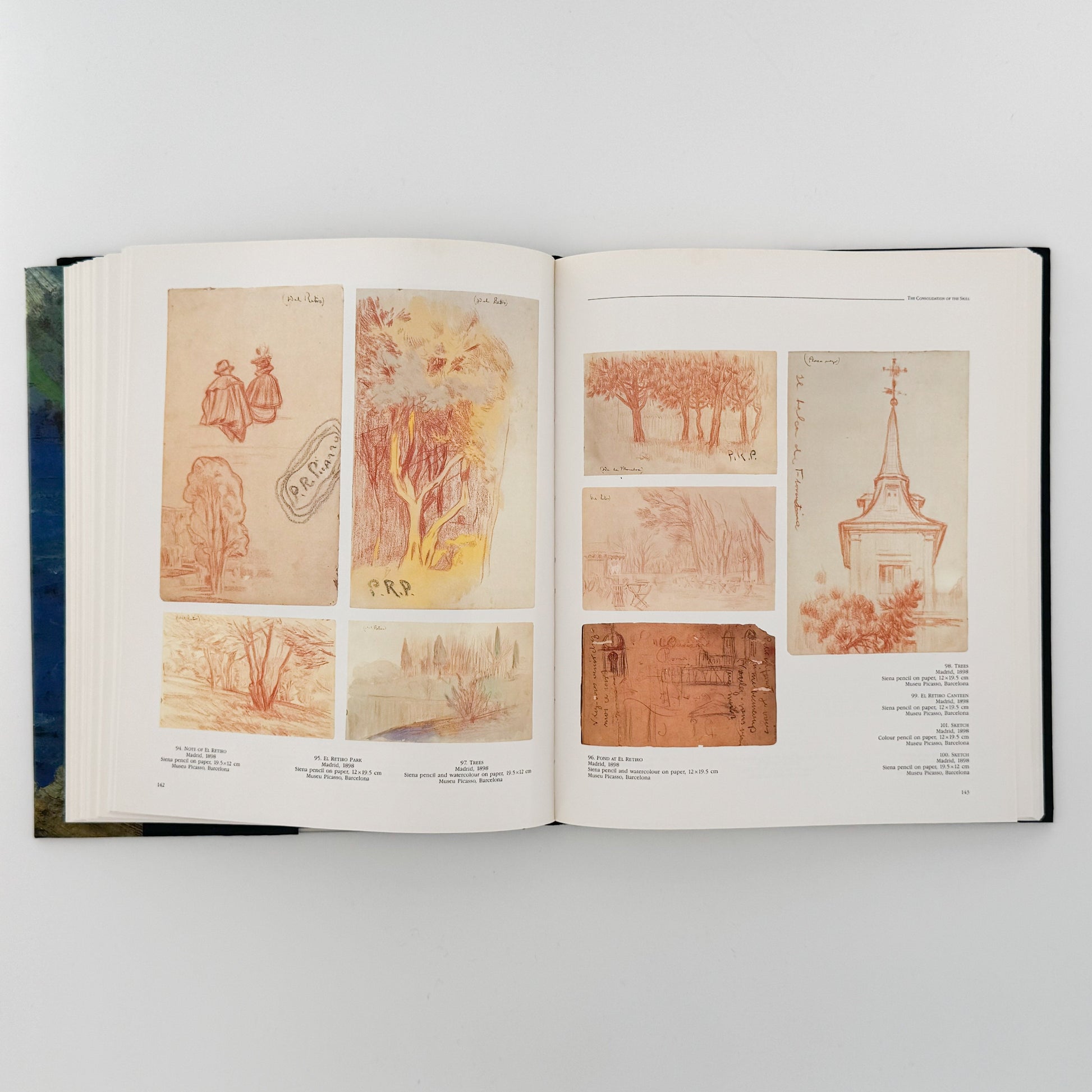 ピカソの風景画: PICASSO Landscapes 1890-1912 - 画集