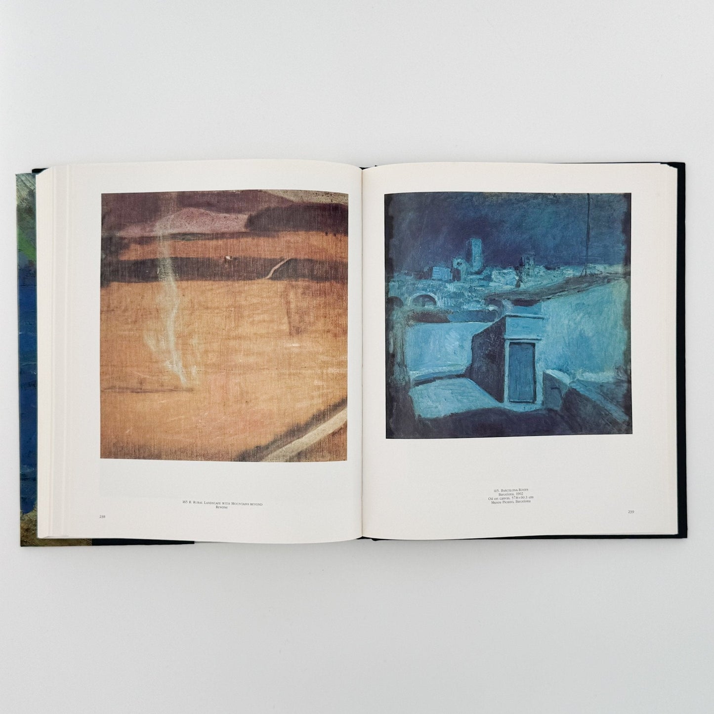 (英文)ピカソの風景画: PICASSO Landscapes 1890 - 1912 - Bulfinch Press - 文福