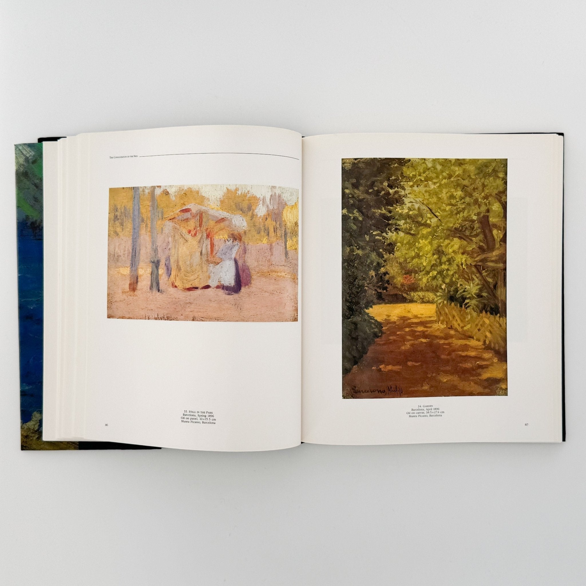 英文)ピカソの風景画: PICASSO Landscapes 1890-1912 – 文福