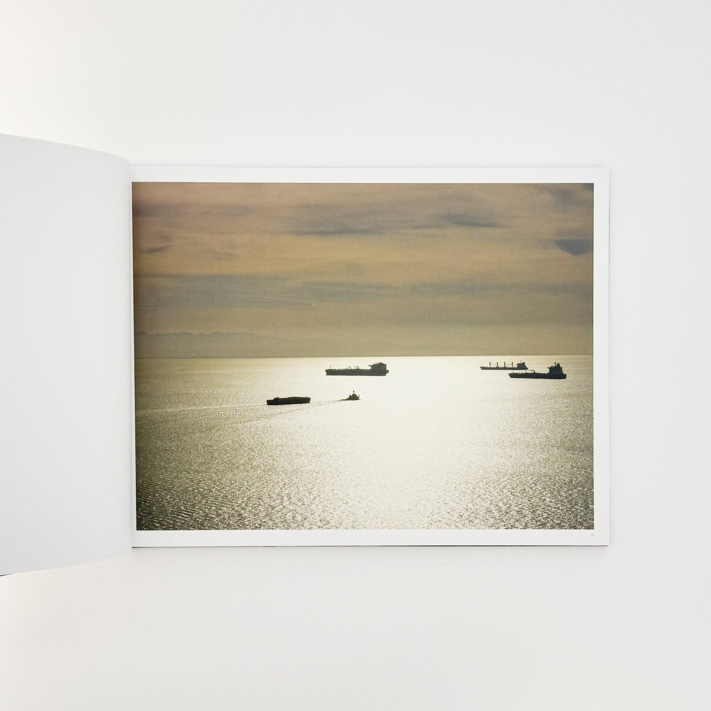 （英文）リチャード・ミズラック　カーゴ　Richard Misrach: Cargo - Aperture - 文福