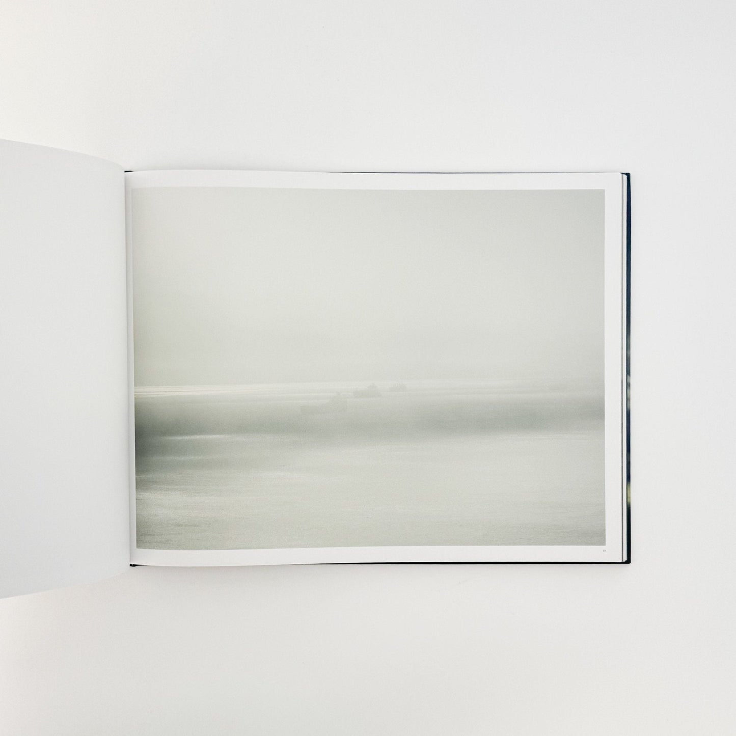 （英文）リチャード・ミズラック　カーゴ　Richard Misrach: Cargo - Aperture - 文福