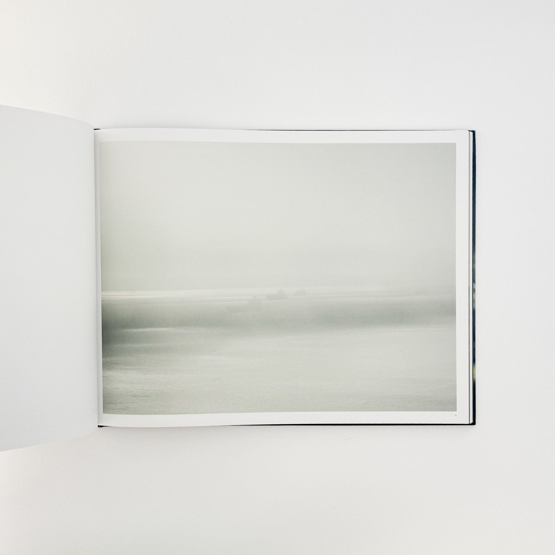 （英文）リチャード・ミズラック　カーゴ　Richard Misrach: Cargo - Aperture - 文福