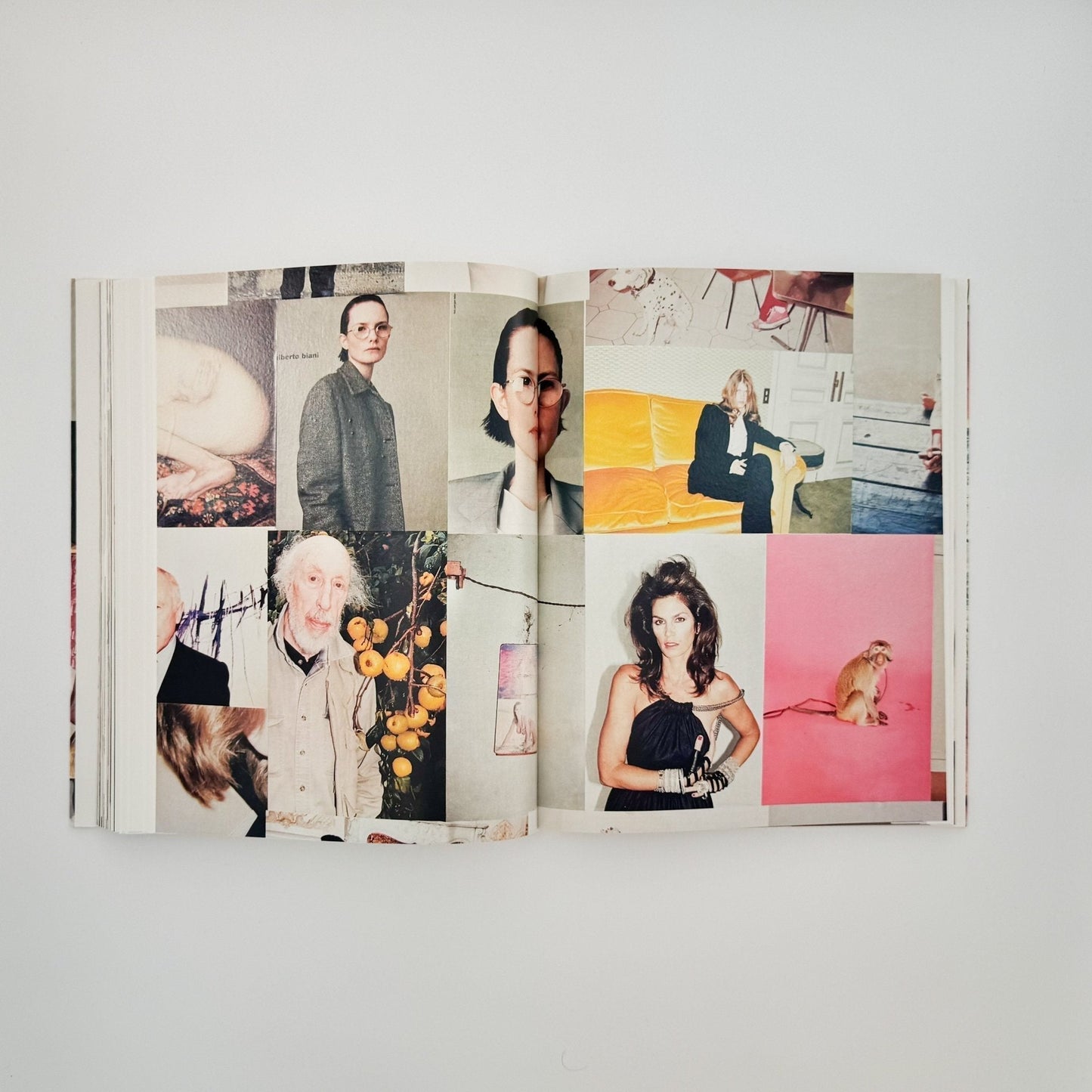 (英文) ユルゲン・テラー Juergen TELLER　Woo! - Steidl - 文福