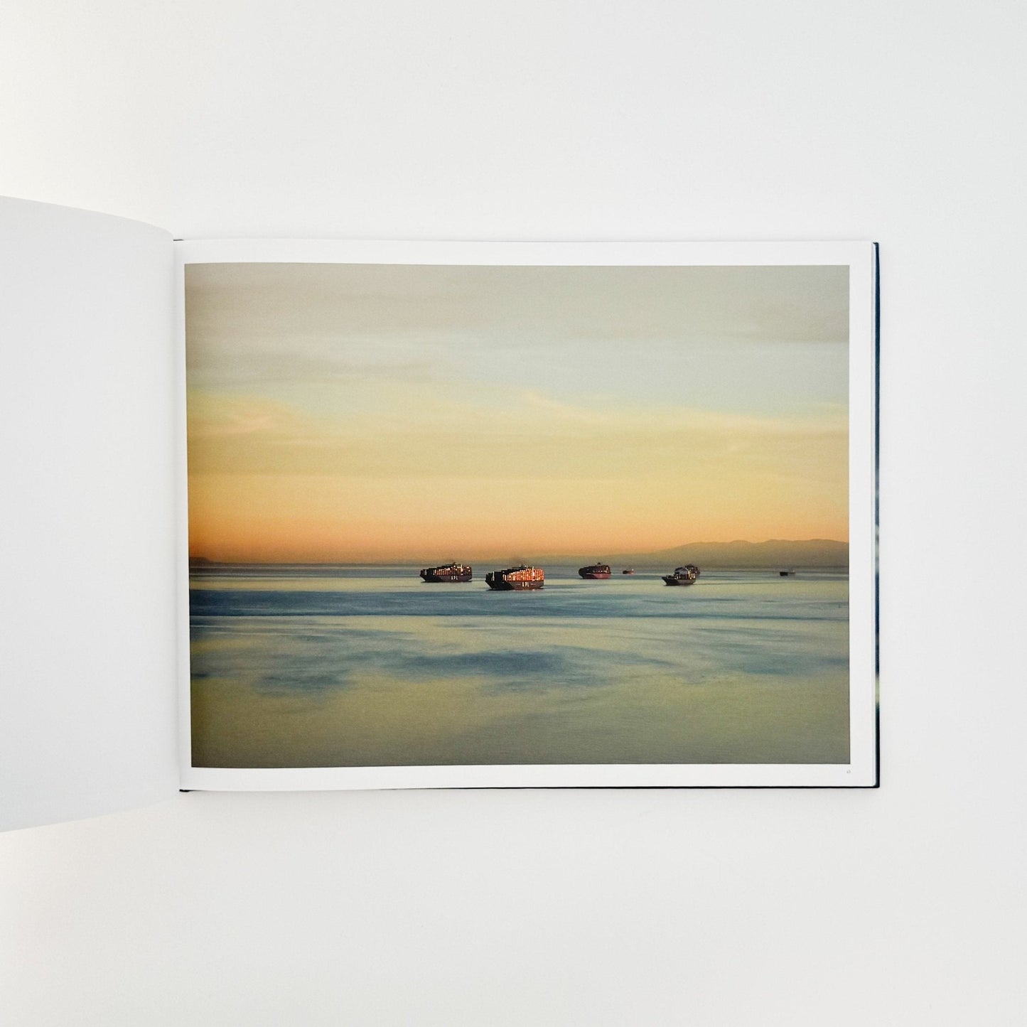 （英文）リチャード・ミズラック　カーゴ　Richard Misrach: Cargo - Aperture - 文福