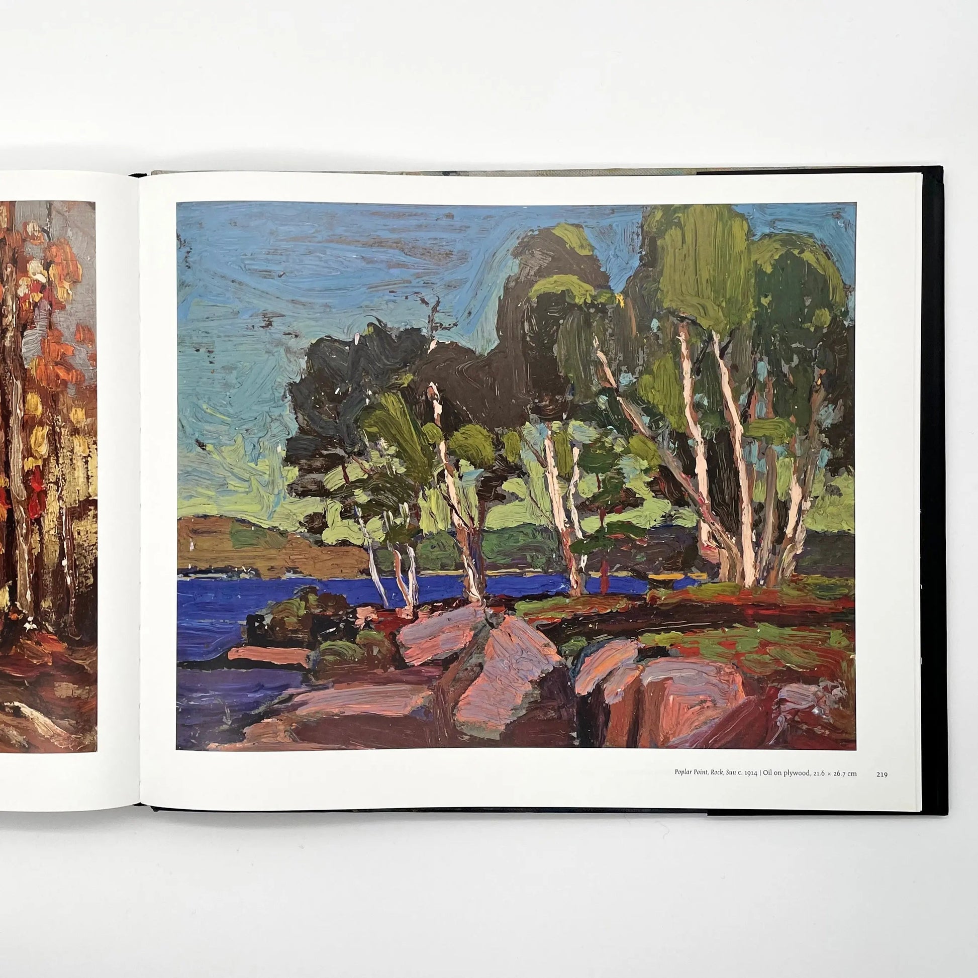 トム・トムソン画集　沈黙と嵐 Collins