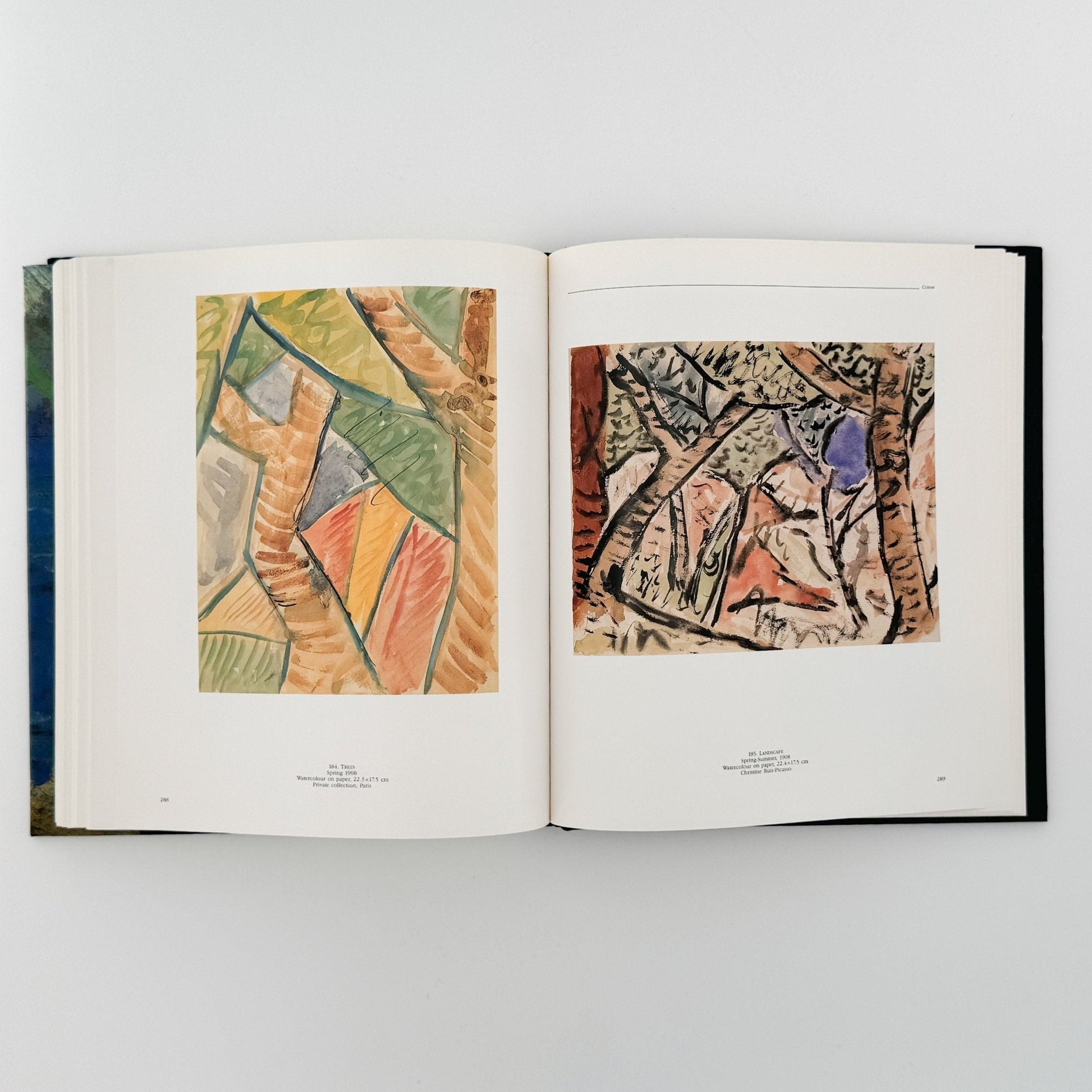 (英文)ピカソの風景画: PICASSO Landscapes 1890 - 1912 - Bulfinch Press - 文福