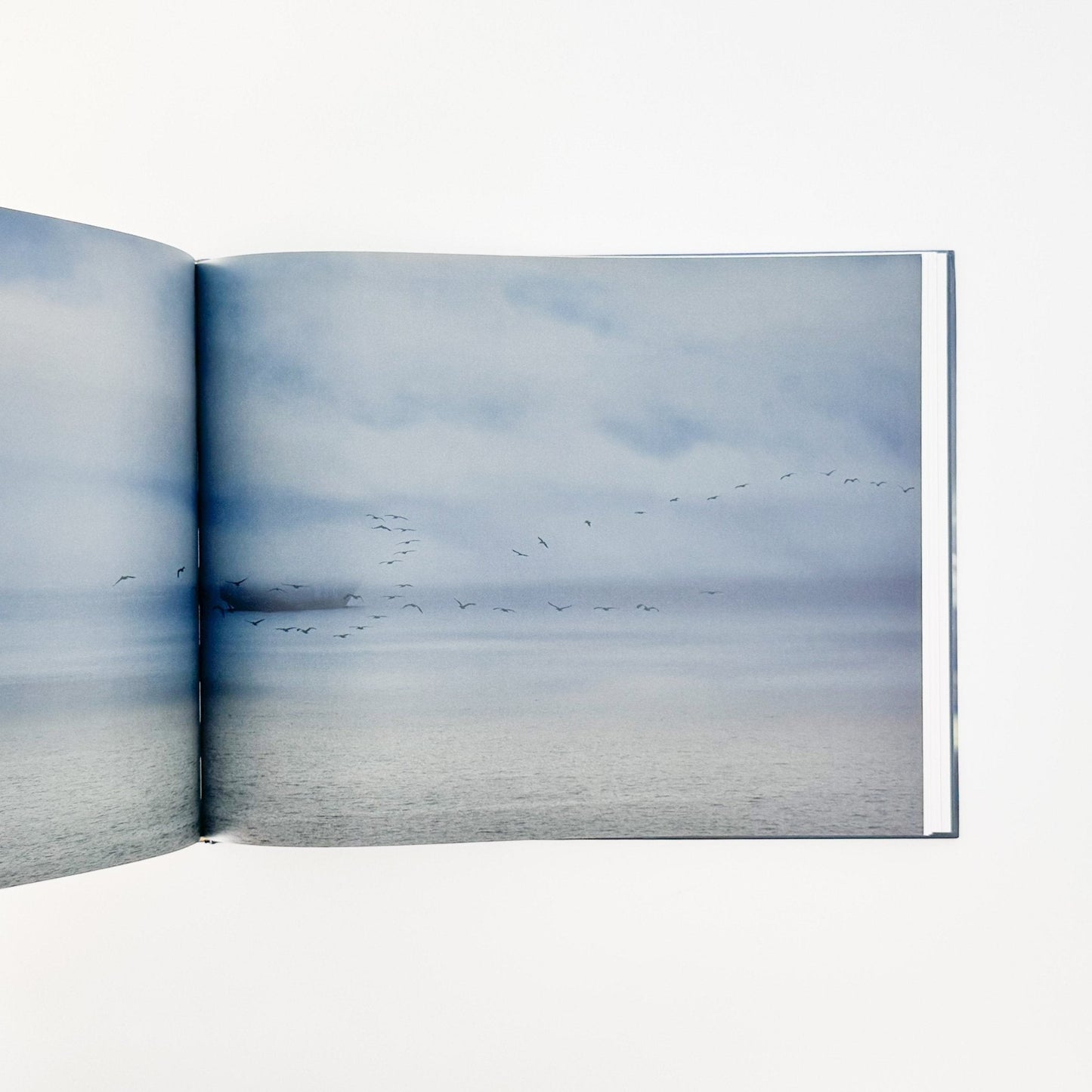 （英文）リチャード・ミズラック　カーゴ　Richard Misrach: Cargo - Aperture - 文福