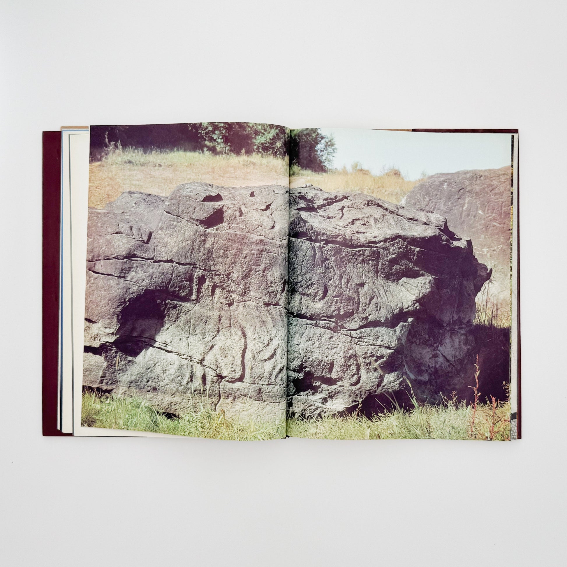 （英文）アムール地域の古代美術──岩絵・彫刻・土器 Aurora Art Publishers