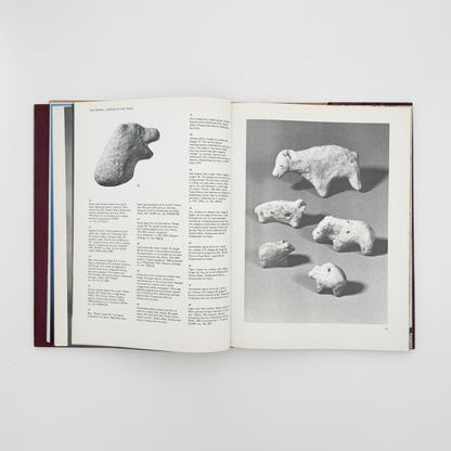 （英文）アムール地域の古代美術──岩絵・彫刻・土器 Aurora Art Publishers