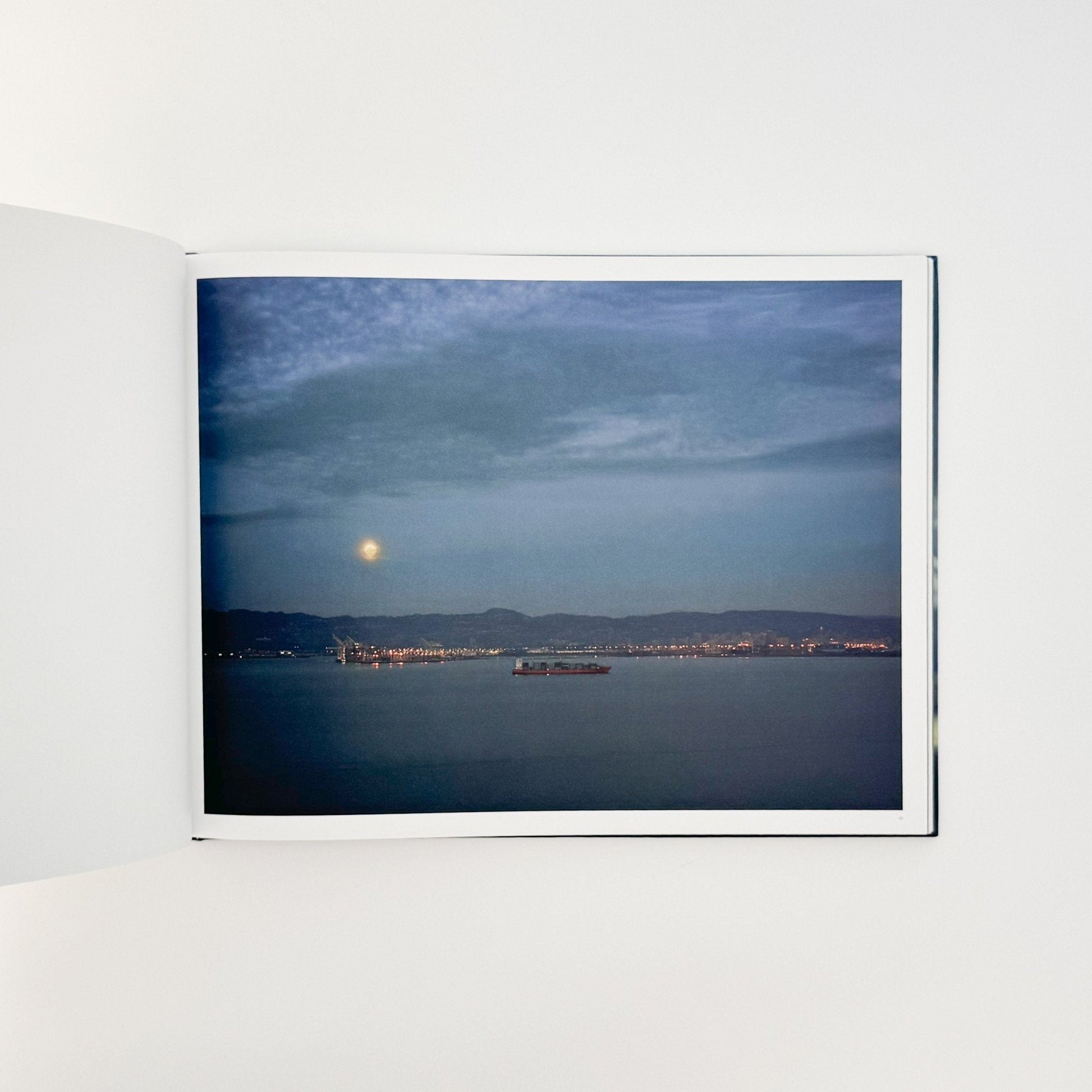 （英文）リチャード・ミズラック　カーゴ　Richard Misrach: Cargo - Aperture - 文福