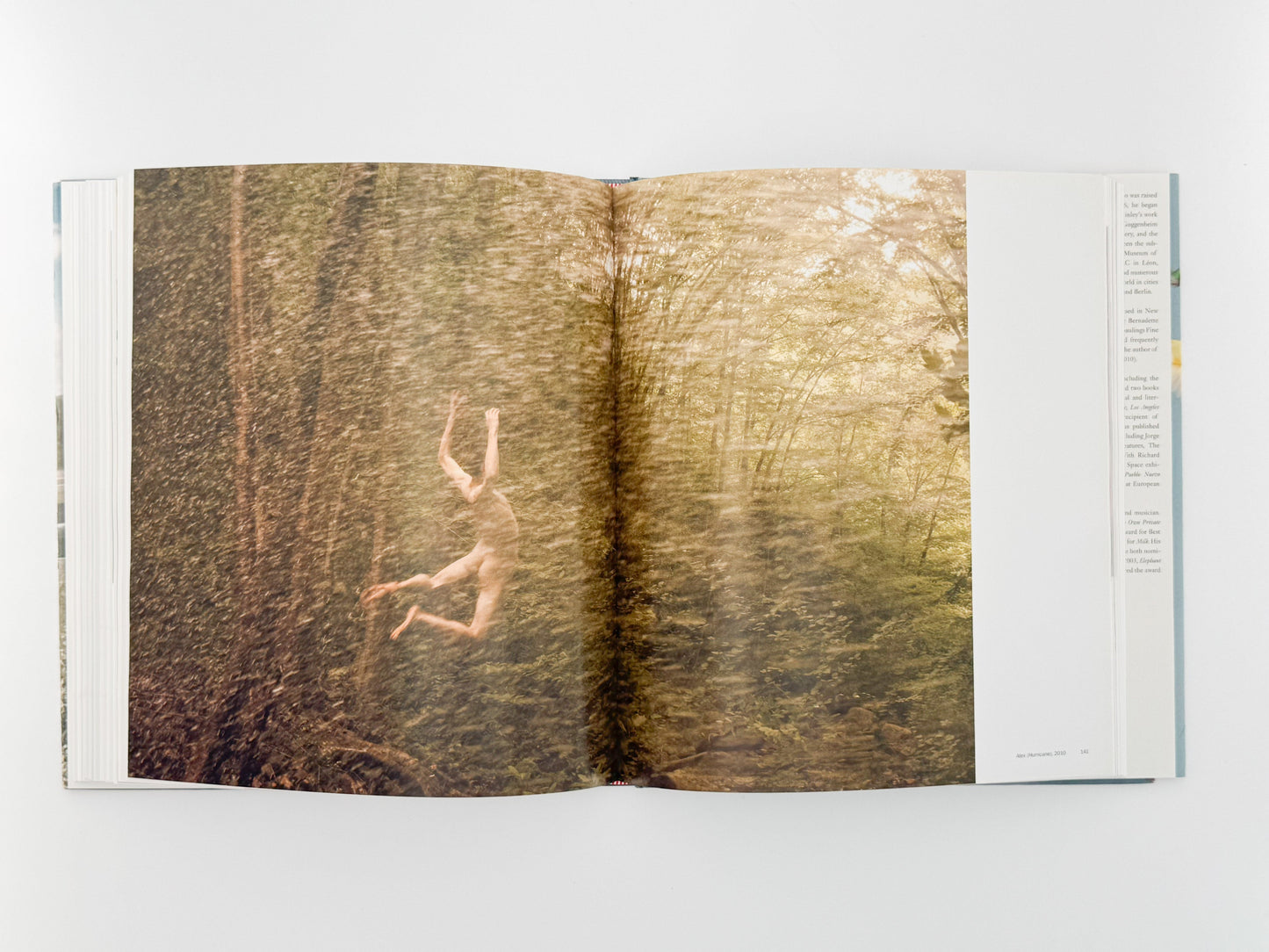(英文)RYAN MCGINLEY (ライアン・マッギンレー)　Whistle for the Wind Rizzoli