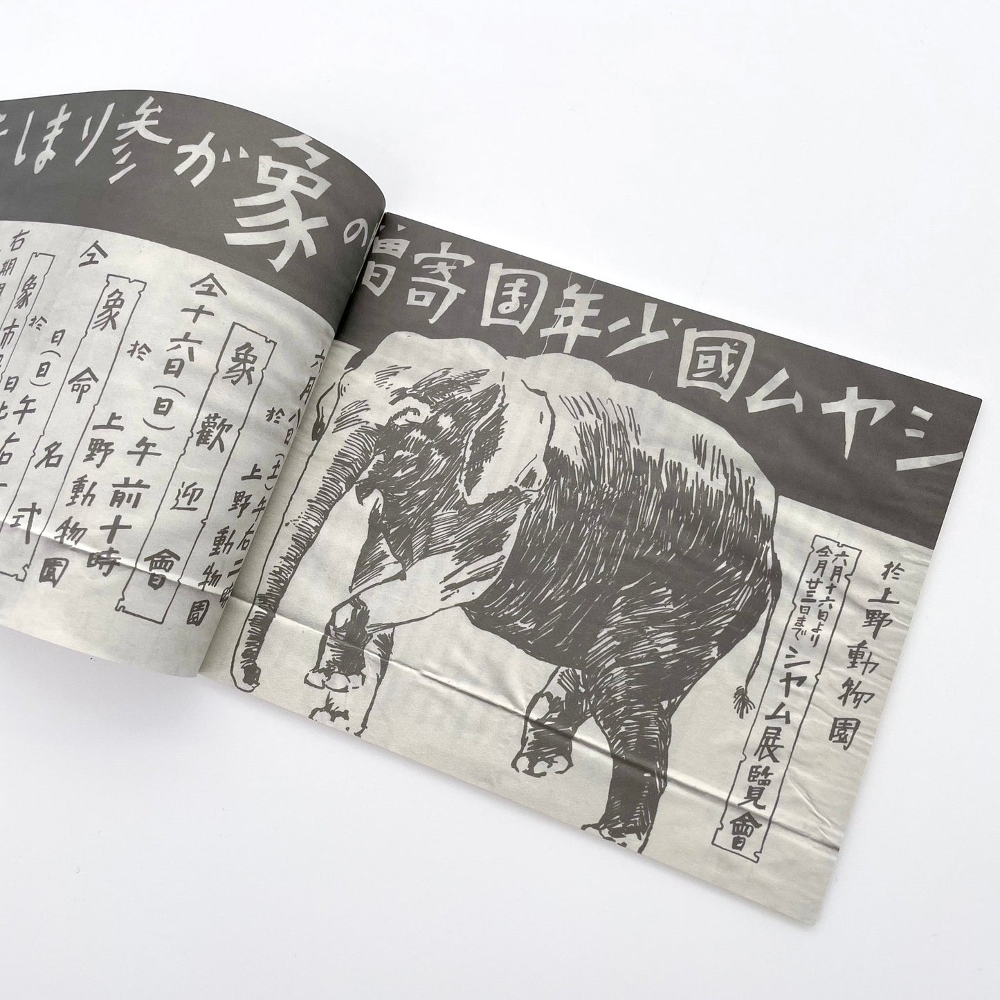 記録集 はな子のいる風景：イメージを（ひっ）くりかえす - 文福