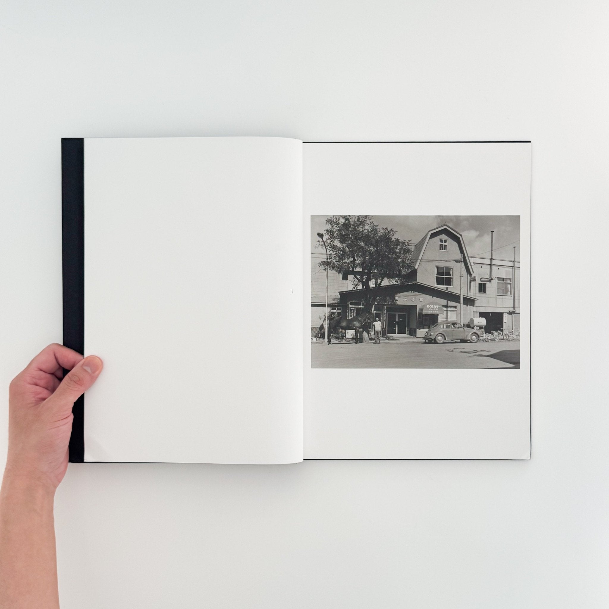 深瀬昌久「家族」FAMILY by FUKASE MASAHISA FAMILY by FUKASE MASAHISA 家族 深瀬昌久 写真集 深瀬昌久 出版社