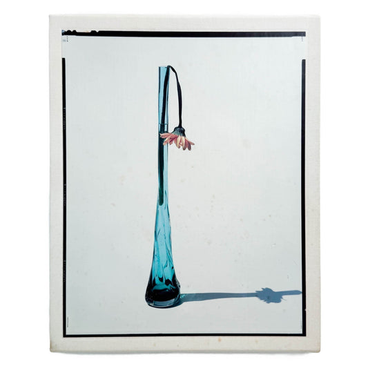 上田義彦　FLOWERS - 光琳社出版 - 文福