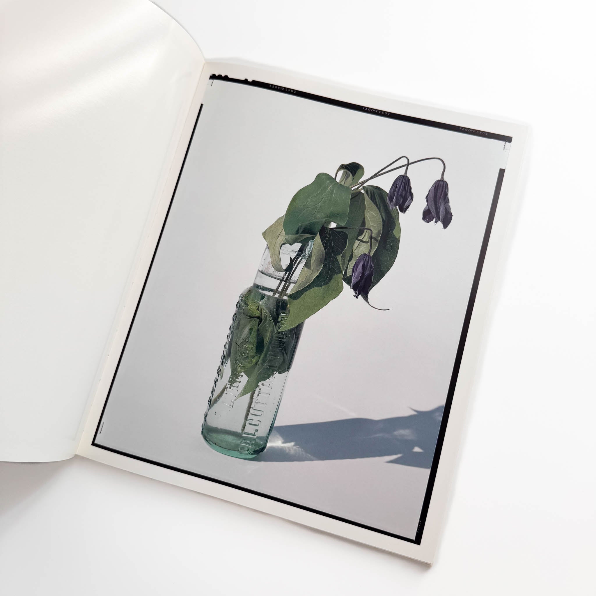 上田芳彦写真集FLOWERS – 文福