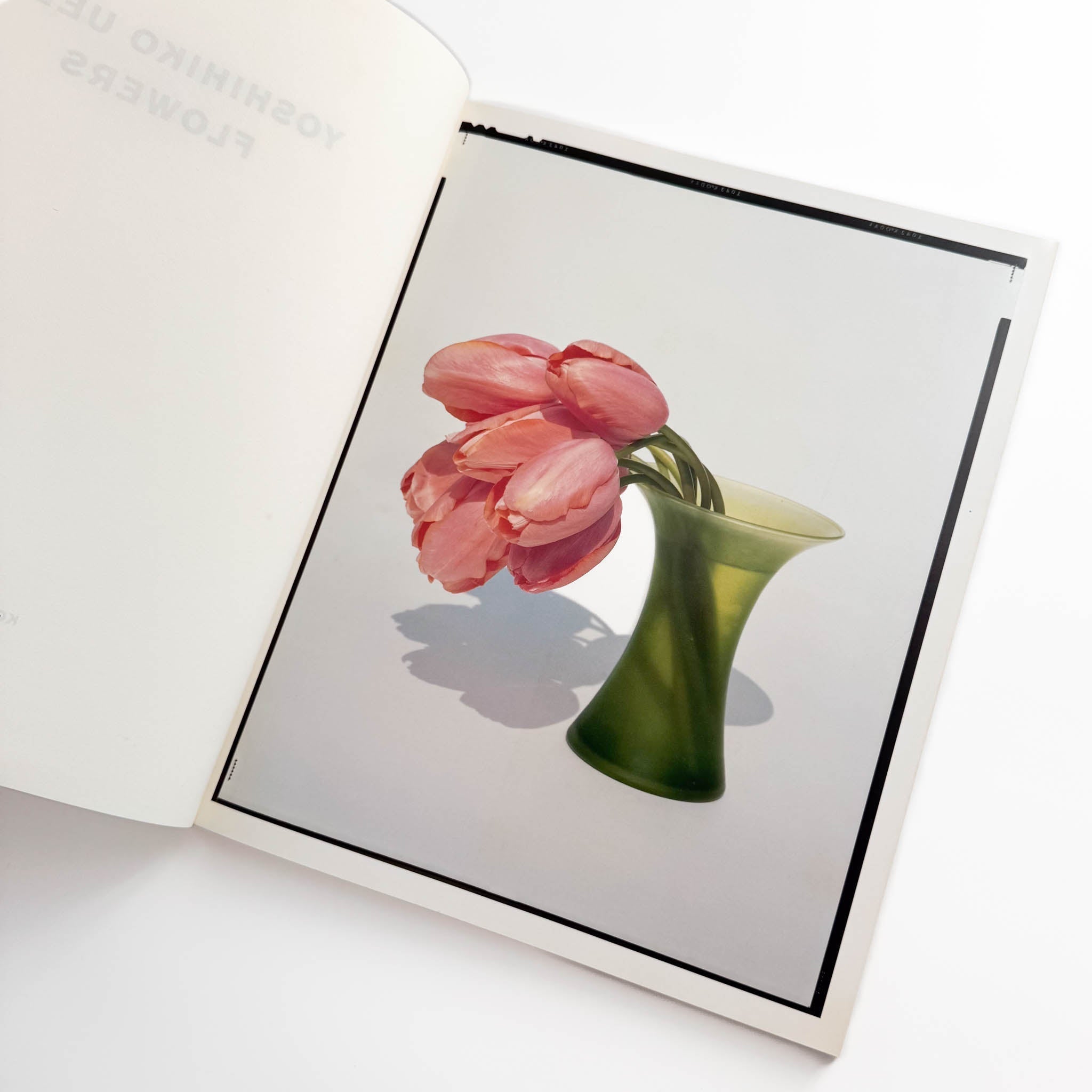 上田義彦写真集「Flowers」 伊藤俊治 光琳社 1997年初版 上田義彦写真集 FLOWERS / 光琳社出版 – 文福
