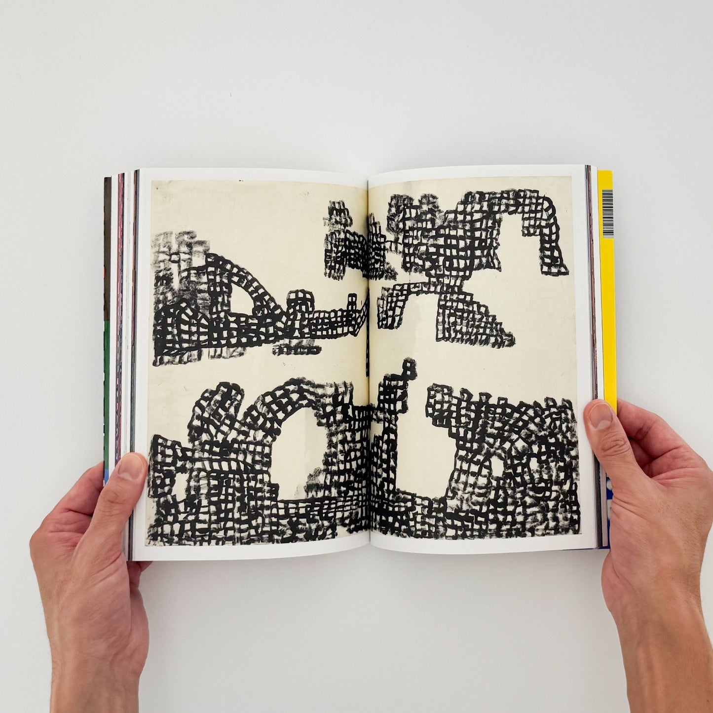 (仏文）クリス・ハーナン　Chris Harnan: Big Pool - ILLUSTRATION