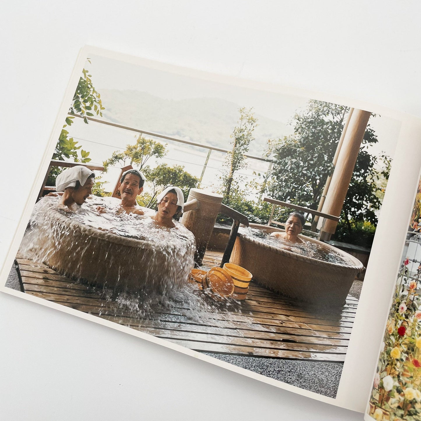 浅田政志　浅田家 - 文福