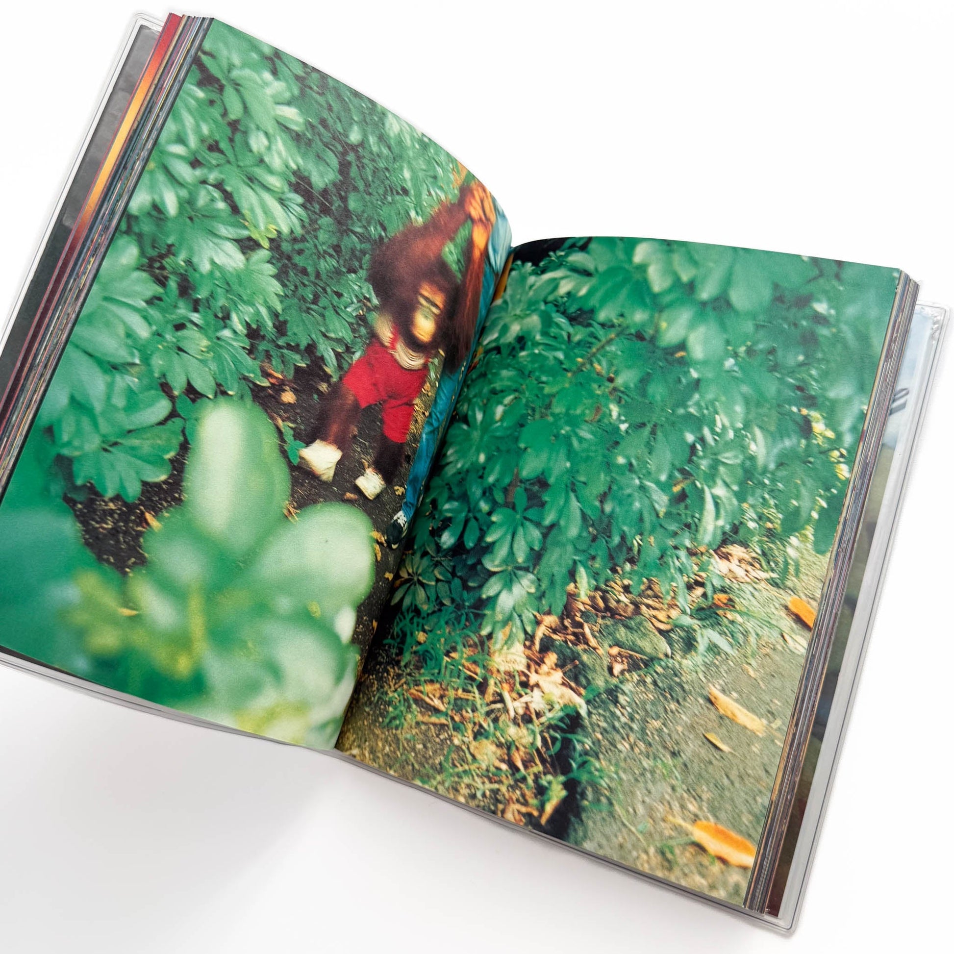 蜷川実花　Pink Rose Suite （新装版） エディション・トレヴィル