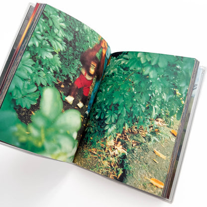 蜷川実花　Pink Rose Suite （新装版） エディション・トレヴィル