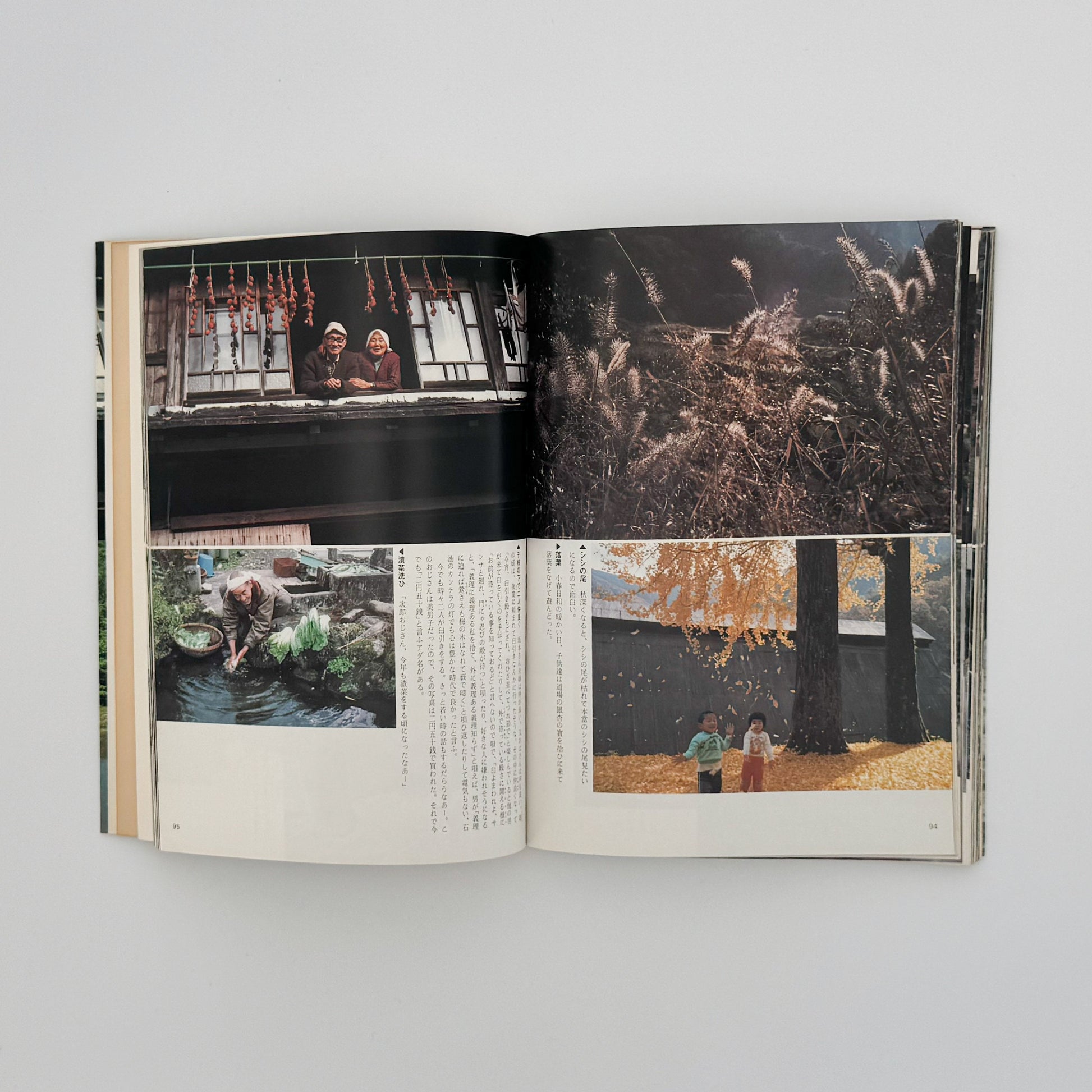 増山たづ子　故郷：私の徳山村写真日記 じゃこめてい出版