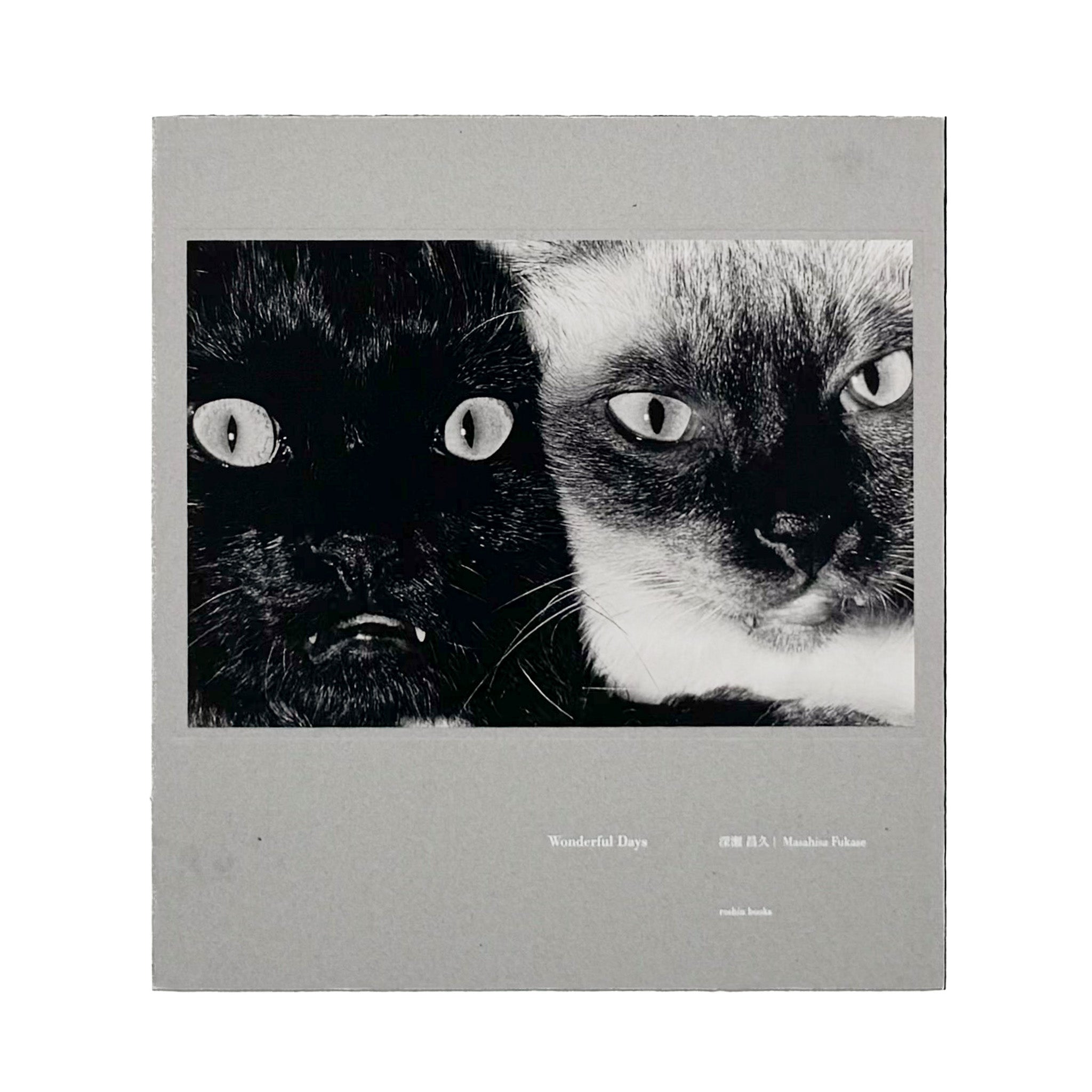 【Wanderful Day】深瀬昌久写真集　新品未読品 Masahisa Fukase: Wonderful Days｜Roshin Books 2015 Limited Edition