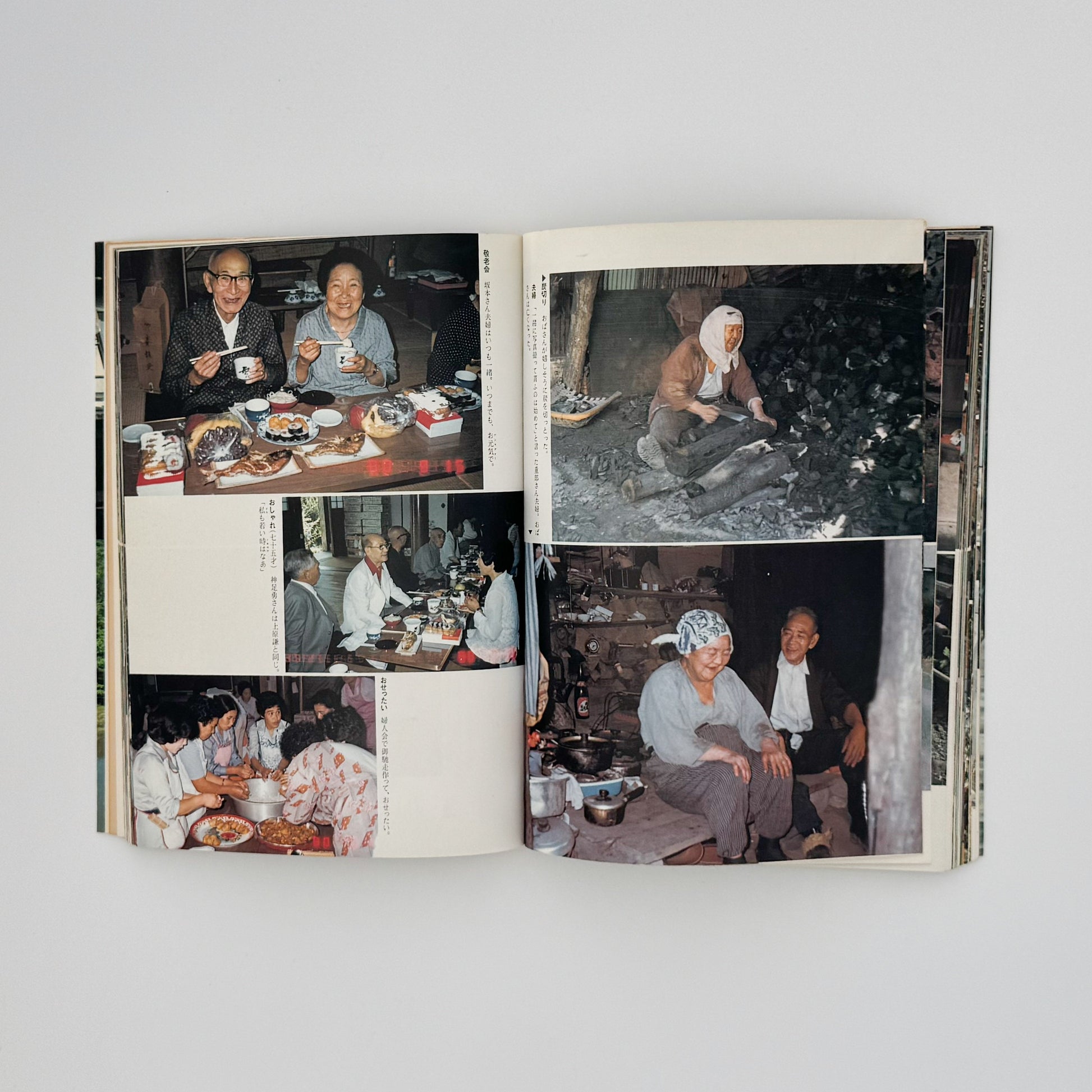 増山たづ子　故郷：私の徳山村写真日記 じゃこめてい出版