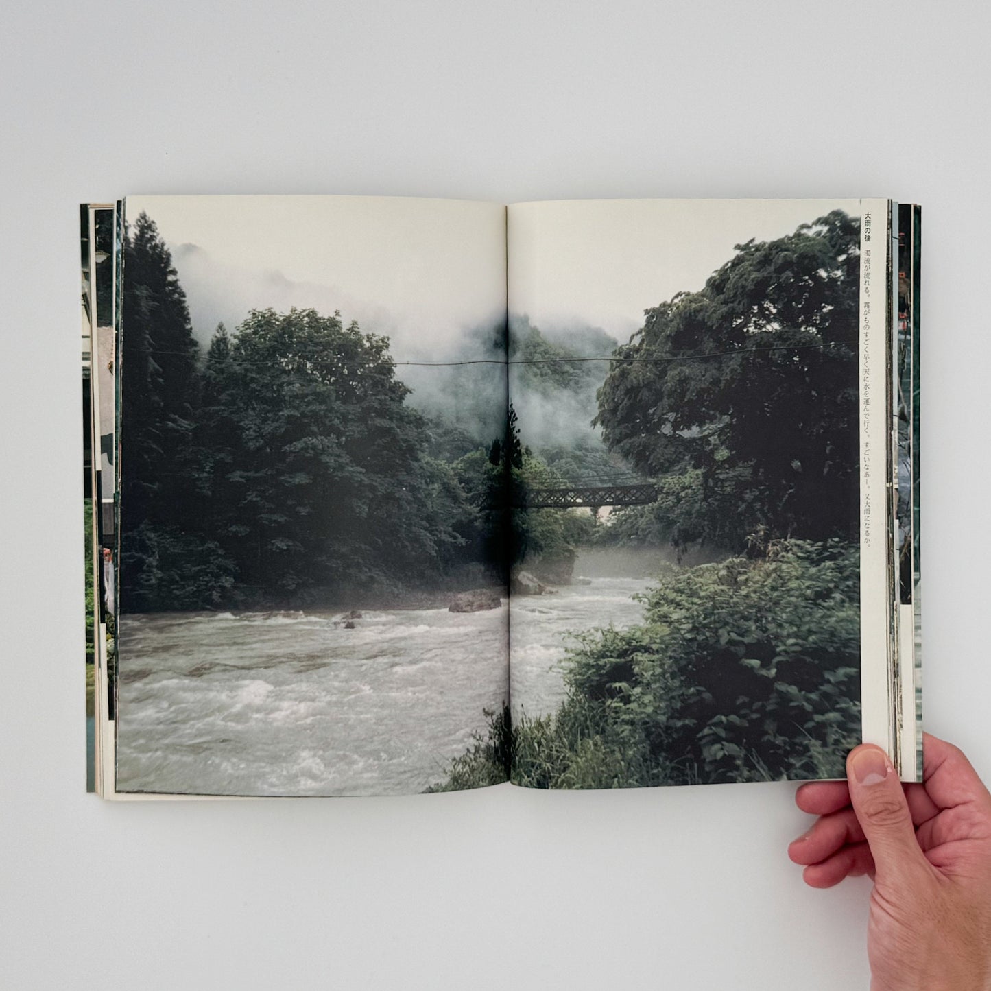 増山たづ子　故郷：私の徳山村写真日記 じゃこめてい出版