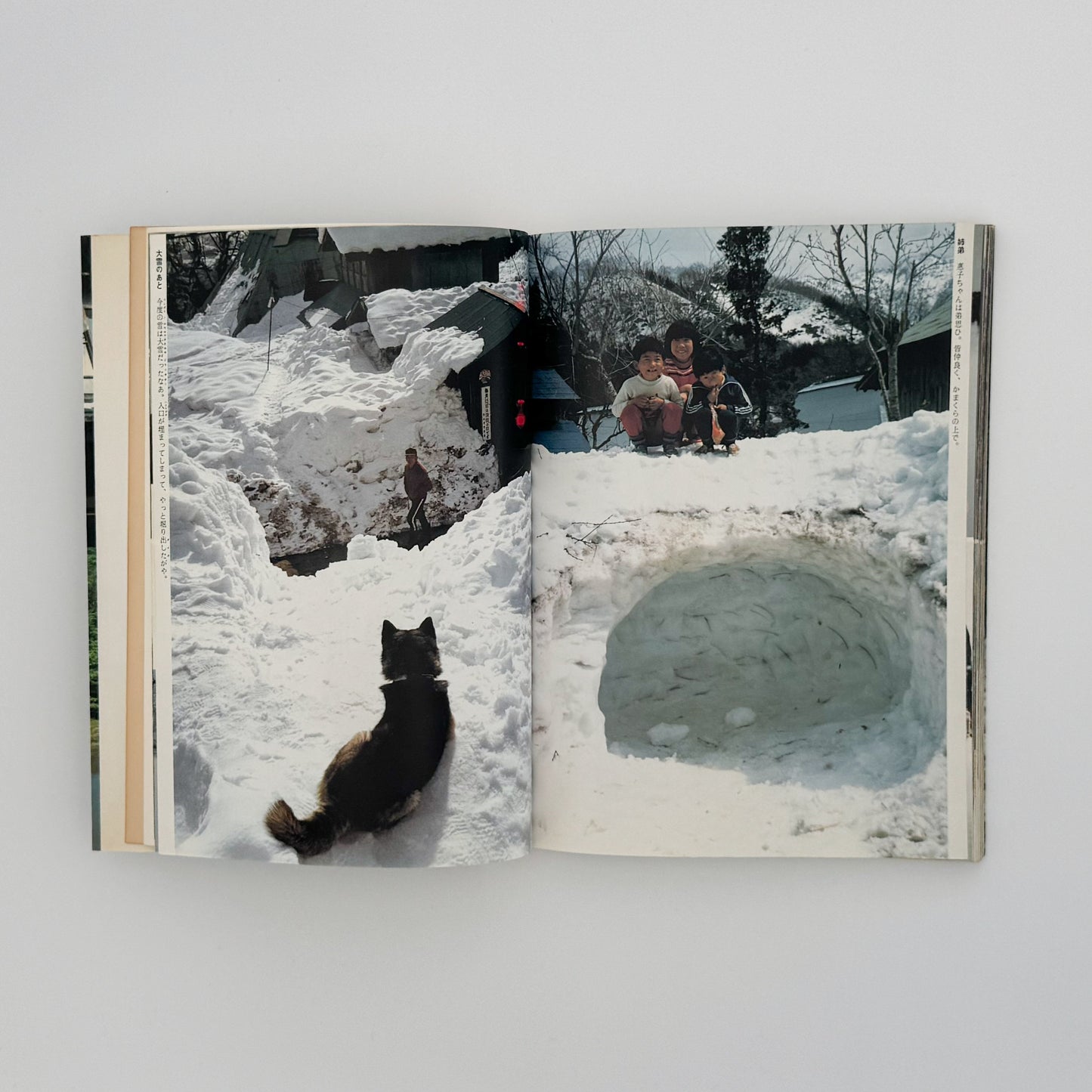 増山たづ子　故郷：私の徳山村写真日記 じゃこめてい出版