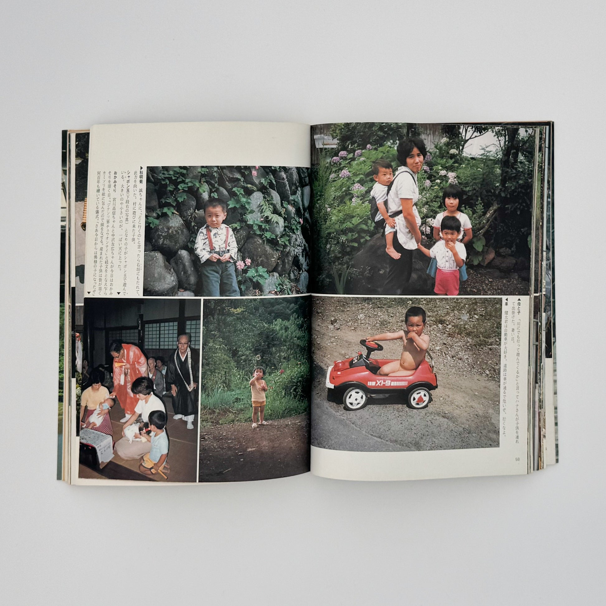 増山たづ子　故郷：私の徳山村写真日記 じゃこめてい出版