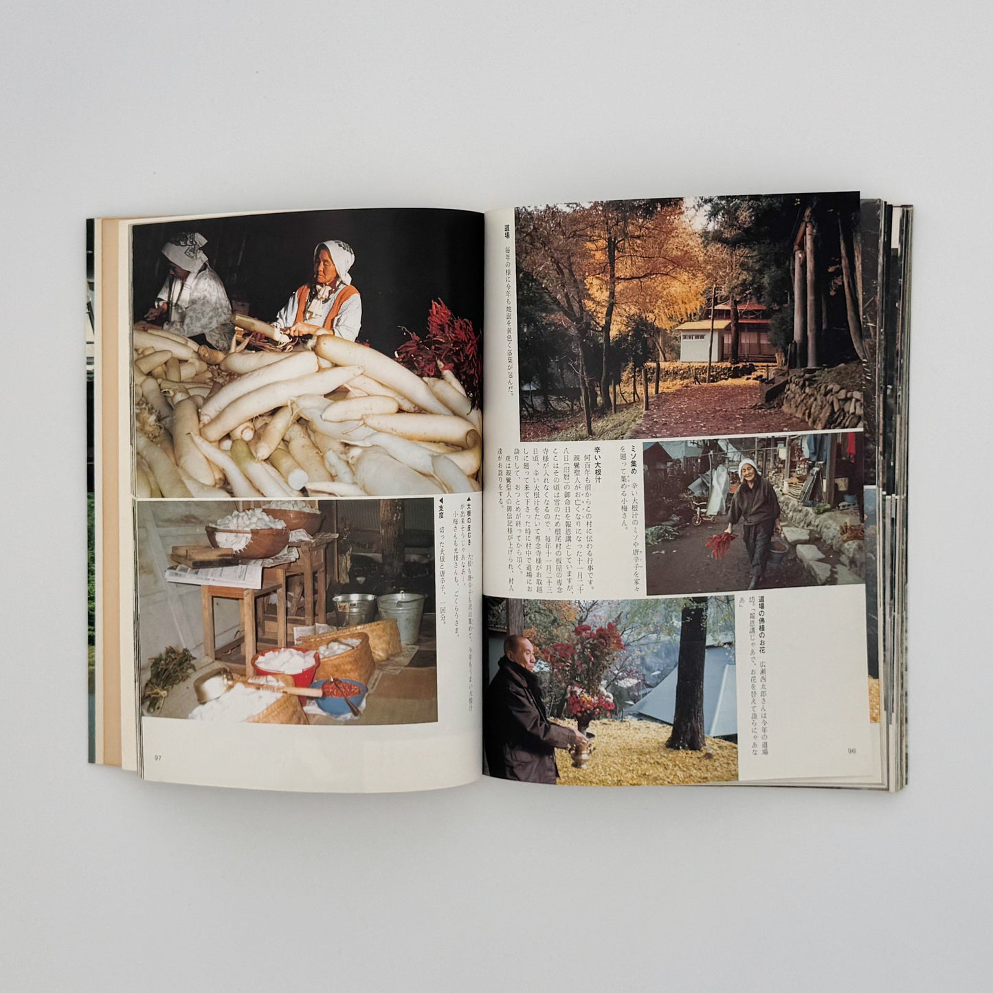 増山たづ子　故郷：私の徳山村写真日記 じゃこめてい出版