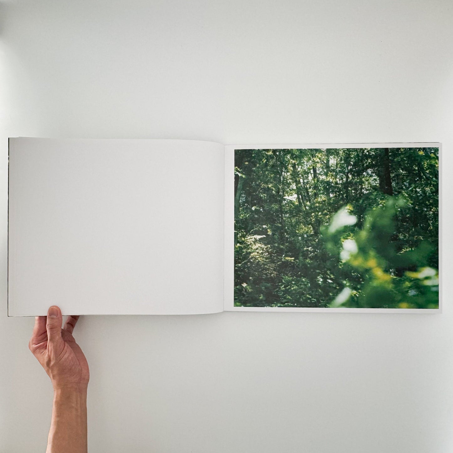 鈴木理策　Water Mirror Case Publishing