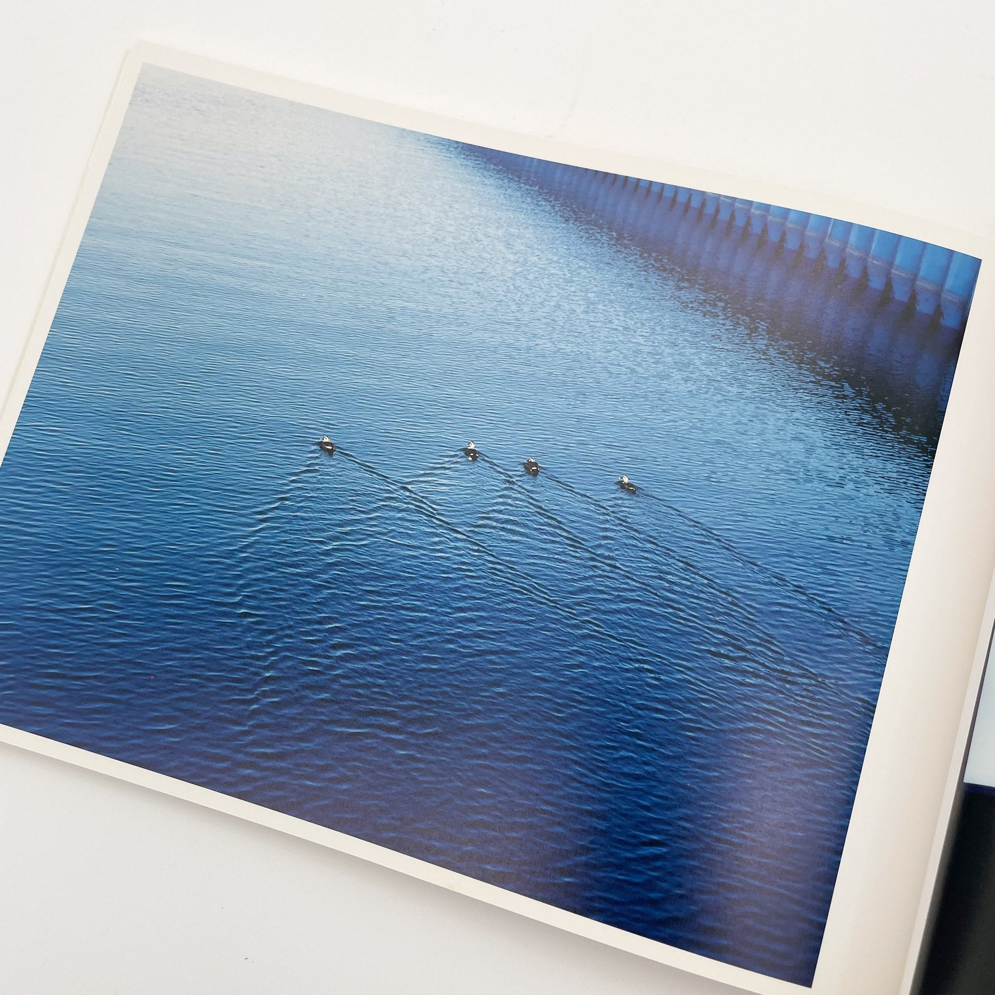 浅田政志　浅田家 - 赤々舎 - 文福