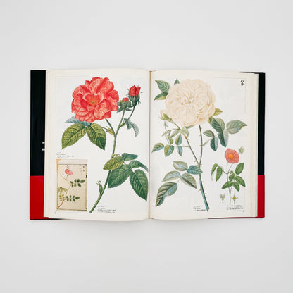 荒俣宏　花の王国１　園芸植物 平凡社