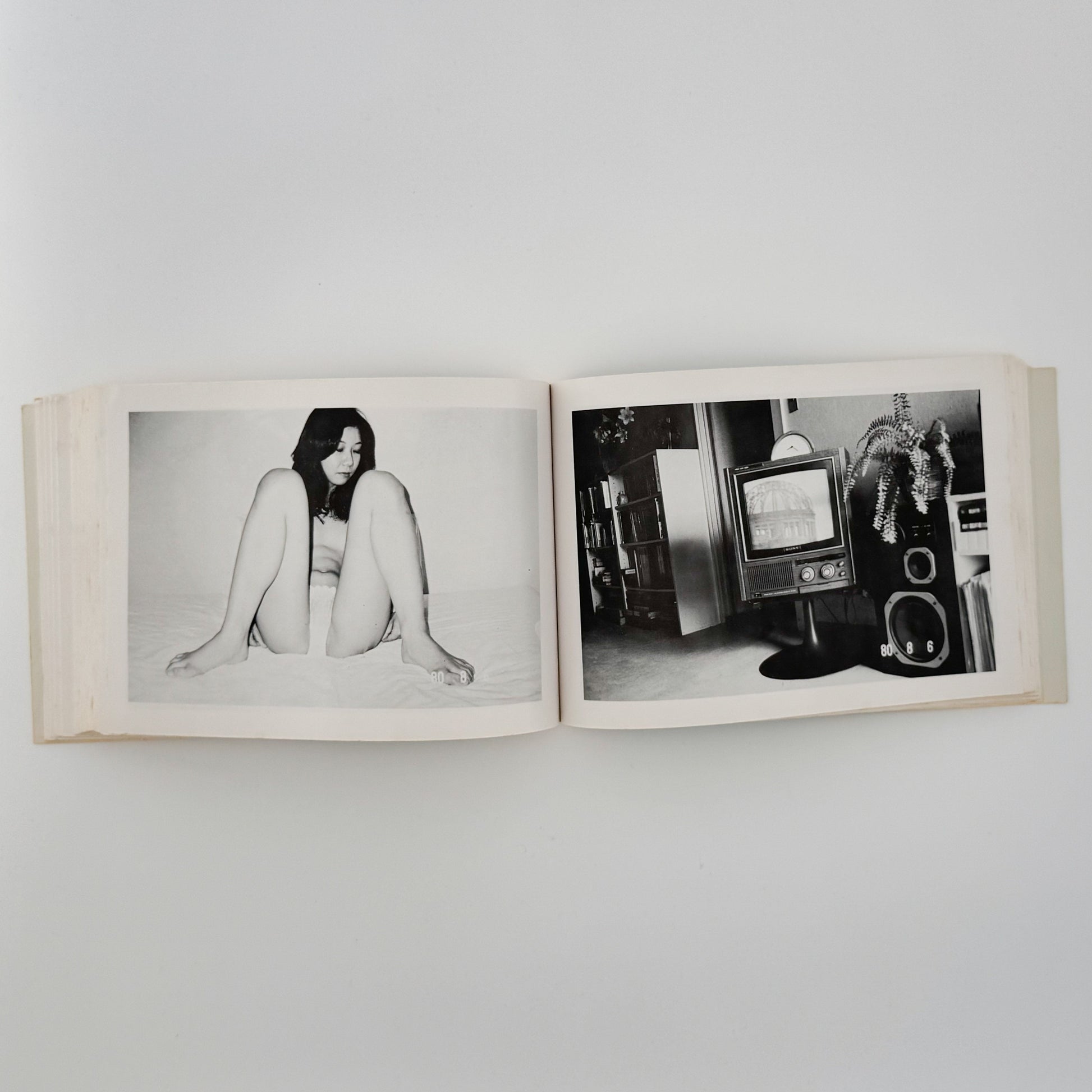 荒木経惟の偽日記 白夜書房