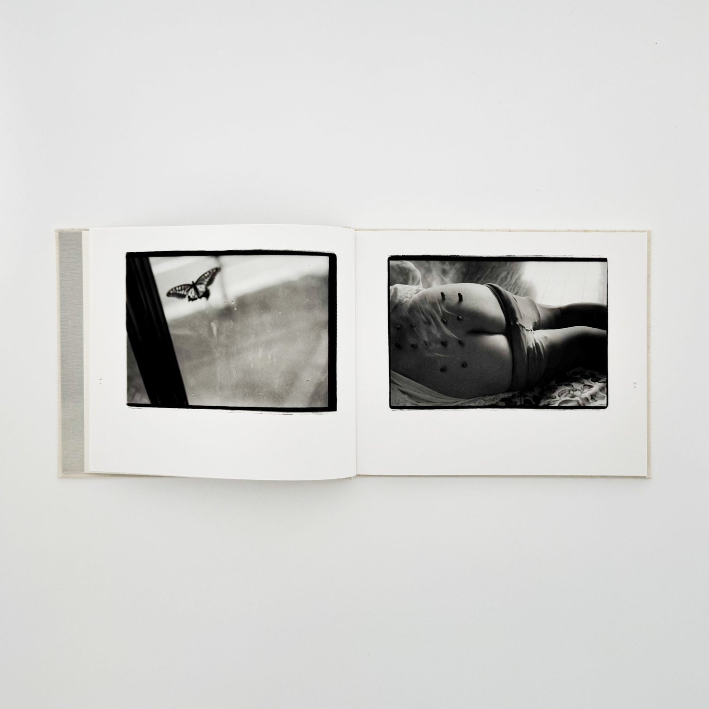 原芳市　常世の虫　TOKOYO NO MUSHI（サイン入り） 蒼穹舎