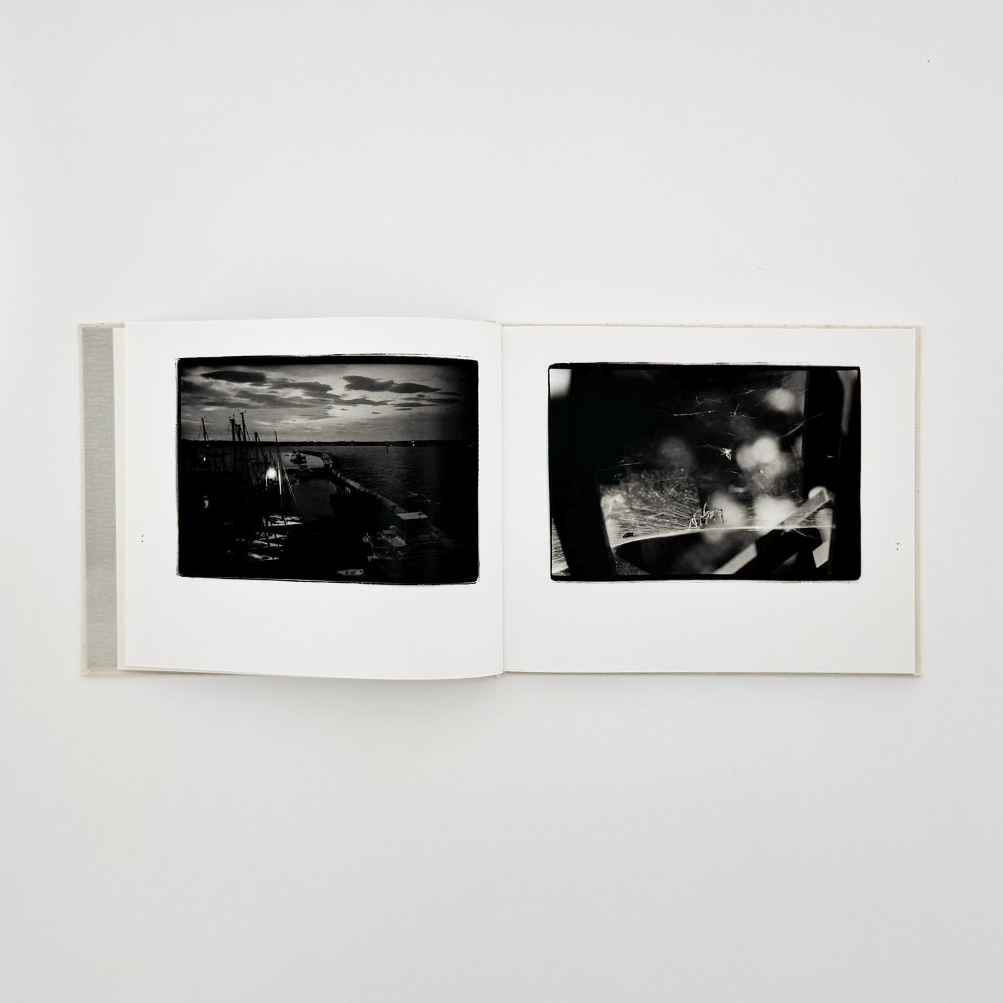 原芳市　常世の虫　TOKOYO NO MUSHI（サイン入り） 蒼穹舎